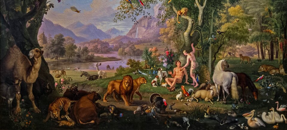 Obraz przedstawia górski krajobraz z wijącą się rzeką. Po obu jej brzegach znajdują się zielone łąki, po których chodzą różne zwierzęta. Na niebie latają ptaki. Na Po lewej stronie rośnie ogromne drzewo, na którym siedzą sowy i inne ptaki, w dziupli drzewa stoi wielbłąd z osłem, obok nich leży tygrys, przed nim lis i borsuk, obok leżą dwie brązowe krowy. Za krowami, idąc w prawą stronę siedzą dwa pawiany, za pawianami przechadza się para lwów. Idąc w prawą stronę ziarno zbiera rodzina indyków. Samiec napuszył pióra, samiczka z trojgiem piskląt zajęta jest wynajdywaniem ziaren na ziemi. Obok nich brodzące w wodzie czaple i ptaki wodne. W prawym rogu pelikany, flaming, kaczki i łabędzie. Na drugim planie, pod drzewem siedzi Adam, któremu, stojąca obok Ewa podaje jabłko. Na jednej z gałęzi jabłoni zwisa wąż. Na drzewie siedzą małpy, kolorowe papugi i wiele innych ptaków. Parę otaczają zwierzęta: dwa psy, kot, kogut z kurami, owce, dwa konie: jeden biały, drugi brązowy, paw i kozy. W tle widać zarysy innych zwierząt: lamparta, geparda, słonia, strusia. Na horyzoncie widać wysokie góry z wodospadami. 