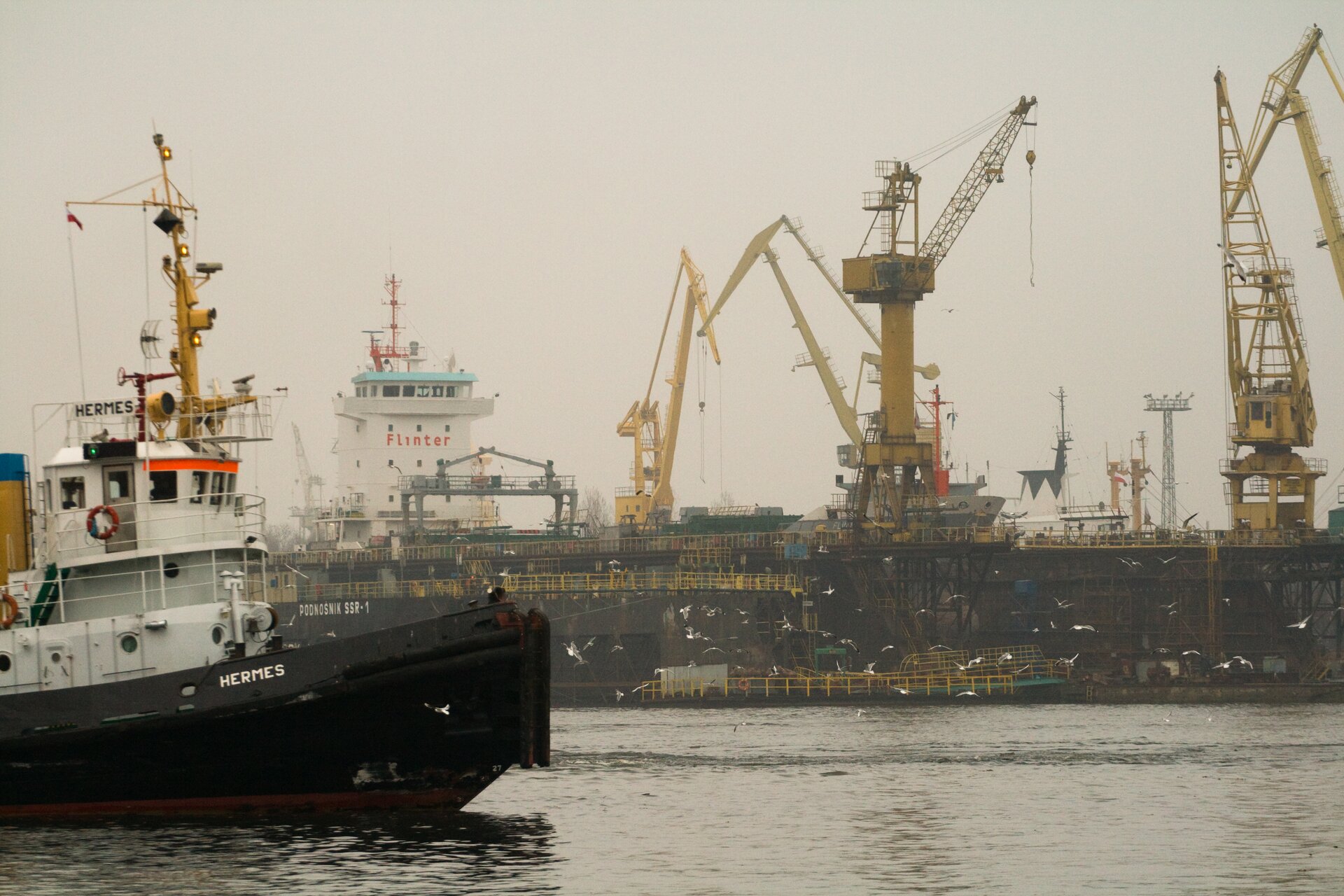 Na zdjęciu urządzenia i dźwigi portowe, statki.