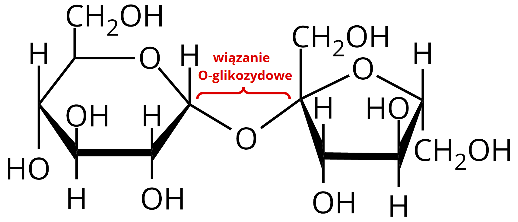 Ilustracja przedstawiająca dwa pierścienie sześcioczłonowy i pięcioczłonowy połączone atomem tlenu, co stanowi wiązanie O‑glikozydowe. Dwucukier zbudowany jest z D‑glukozy oraz D‑fruktozy, które łączy wiązanie α,β-1,2-O-glikozydowe. Strukturę stanowi sześcioczłonowy pierścień, w którym pierwszy lokant stanowi atom węgla C 1 związany z atomem tlenu wbudowanym w tenże pierścień. Węgiel C 5 zamyka pierścień i łączy się ze wspomnianym atomem tlenu oraz węglem C 6, niewbudowanym w pierścień. Od węgla C 1 odchodzi wiązanie łączące go z atomem tlenu, który to łączy się z węglem C 2 pierścienia D‑fruktozy. Od węgli C 2 oraz C 4 odchodzą do góry grupy hydroksylowe OH, zaś do dołu od grupy C 3, grupa hydroksylowa odchodzi również od węgla C 6. Drugi pięcioczłonowy pierścień stanowi D‑fruktoza, w której węgiel C 1 należący do grupy CH2 podstawiony jest grupą hydroksylową OH i łączy się z atomem węgla C 2, który związany jest z atomem tlenu łączącym pierścień D‑fruktozy z pierścieniem D‑glukozy. Od węgla C 3 do dołu odchodzi grupa hydroksylowa OH, z kolei od węgla C 4 do góry odchodzi grupa hydroksylowa OH. Węgiel C 4 łączy się z atomem tlenu, który to łączy się z atomem węgla C 1, co zamyka pięcioczłonowy pierścień. Ponadto od węgla C 4 odchodzi do dołu grupa CH2OH. Oba anomeryczne atomy węgla, zarówno w pierścieniu fruktozy, jaki glukozy nie posiadają grup hydroksylowych. Łączy je mostek tlenowy.