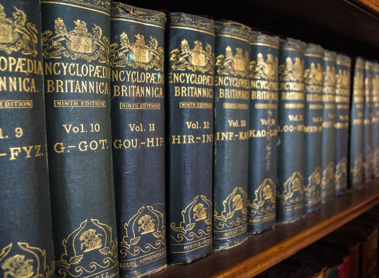 Zdjęcie przedstawia rząd grubych książek w czarnych okładkach. Na grzbietach widoczne są złote tłoczenia. Na każdym grzbiecie widoczny jest napis w języku angielskim: ENCYCLOPAEDIA BRITANNICA [NINTH EDITION]. Poniżej widoczna jest numeracja poszczególnych tomów od 9 do 20.