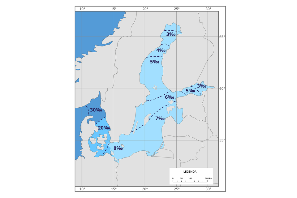 Mapa przedstawia zasolenie wód powierzchniowych Morza Bałtyckiego. Idąc od północy na południe i wschód i potem na zachód: 3 promile, 4 promile, 5 promili, północne wody Estonii: 3‑6 promili, wody Polski: 7‑8 promili, Dania: 20 promili, Norwegia: 30 promili.