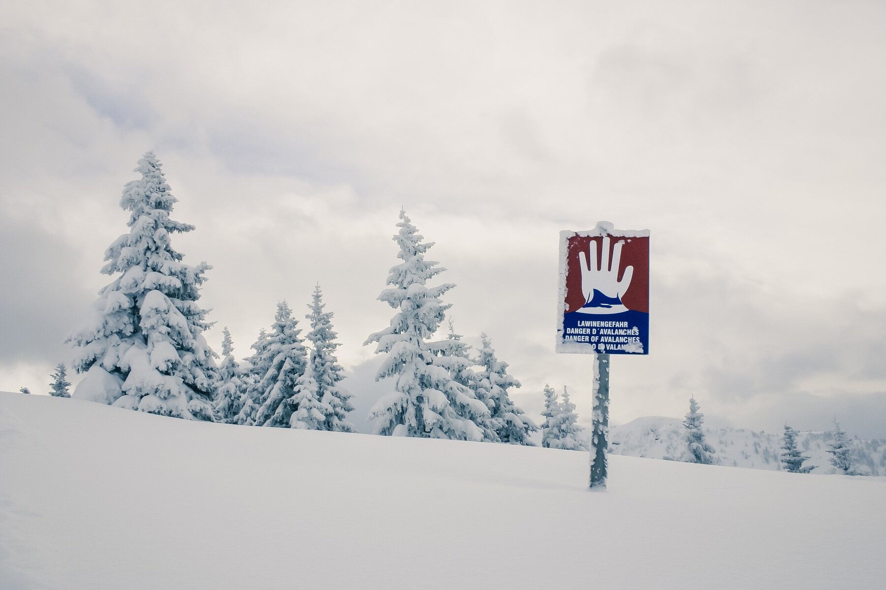 Zdjęcie przedstawia ośnieżone zbocze góry. Z ziemi wystaje znak ostrzegawczy z napisem w kilku językach, na którym znajduje się rysunek otwartej białej dłoni na czerwonym tle. Dłoń jest wkomponowana w kształt góry. W tle są ośnieżone drzewa. 