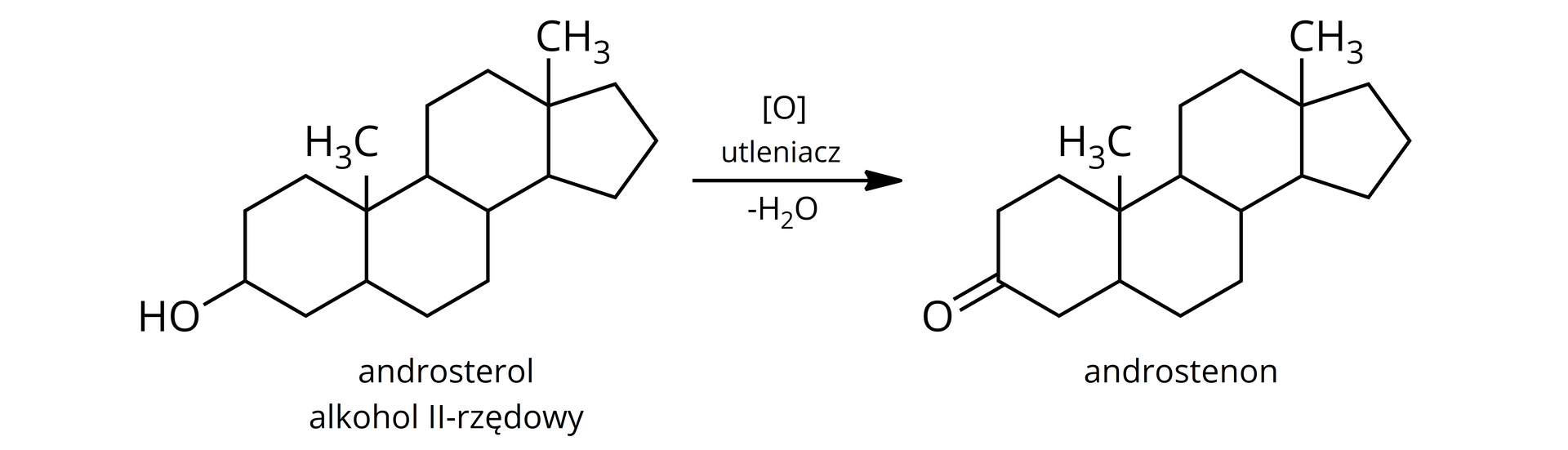 Na ilustracji znajduje się równanie reakcji utleniania androsterolu, alkoholu II-rzędowego do androstenonu. Struktura androsterolu to skondensowane trzy pierścienie sześcioczłonowe i jeden pięcioczłonowy. W strukturze występuje m. in. jedna grupa hydroksylowa przyłączona do pierścienia i ona ulega utlenieniu do grupy CO.