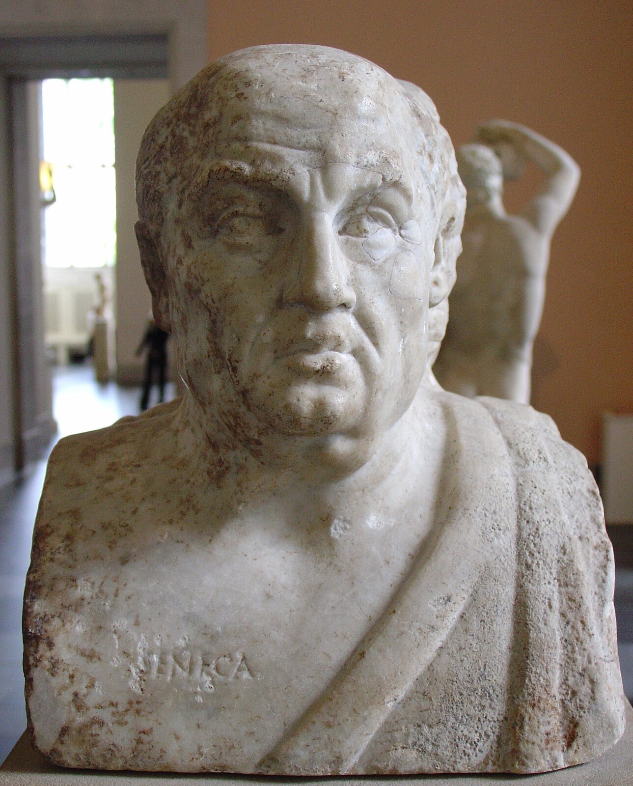 Ilustracja przedstawia dzieło nieznanego autora „Seneka”. Rzeźba przedstawia popiersie Seneki. Rzeźba jest w kolorze kości słoniowej. W tle znajdują się inne rzeźby.