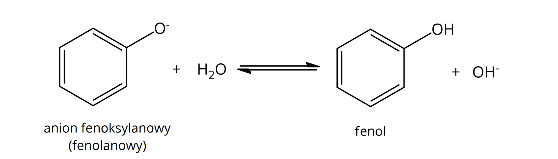 Ilustracja przedstawia reakcję hydrolizy zasadowej anionu fenoksylanowego. Równanie reakcji. Anion fenoksylanowy: sześcioczłonowy pierścień aromatyczny z przyłączonym do jednego z atomów węgla atomem tlenu O obdarzonym ładunkiem ujemnym, reaguje z jedną cząsteczką wody H2O. Po prawej stronie strzałki cząsteczka fenolu: sześcioczłonowy pierścień aromatyczny z przyłączoną do jednego z atomów węgla grupą hydroksylową O H, dodać anion OH-.