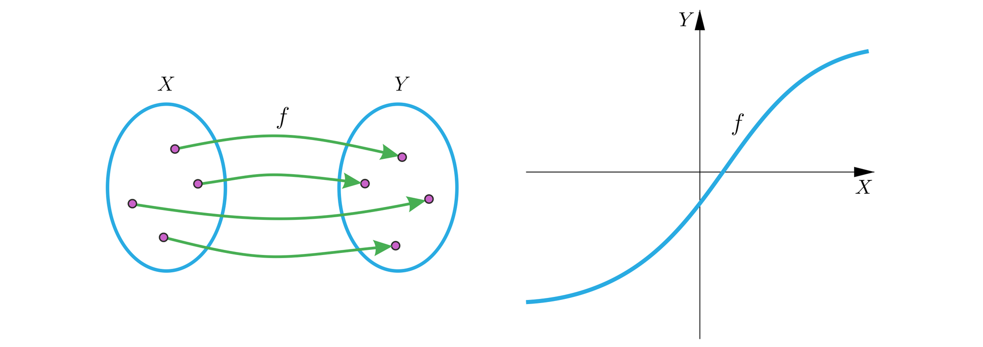 Na ilustracji przedstawiono funkcję za pomocą grafu oraz wykresu funkcji. Po lewej stronie znajduje się graf składający się z dwóch pionowo ustawionych obok siebie elips, które reprezentują  zbiory: po lewej zbiór X, po prawej zbiór Y. Elementy zbioru reprezentują kropki. Każdy element ze zbioru X ma przyporządkowany dokładnie jeden element ze zbioru Y i odwrotnie: każdy element ze zbioru Y ma przyporządkowany dokładnie jeden element ze zbioru X.  Przyporządkowanie reprezentują strzałki biegnące od elementów ze zbioru X do elementów ze zbioru Y. Po prawej stronie znajduje się układ współrzędnych z poziomą osią X oraz pionową osią Y. Wykres funkcji f pojawia się na płaszczyźnie w trzeciej ćwiartce, następnie przecina oś y , kolejno oś x i wychodzi poza układ współrzędnych w pierwszej ćwiartce układu.