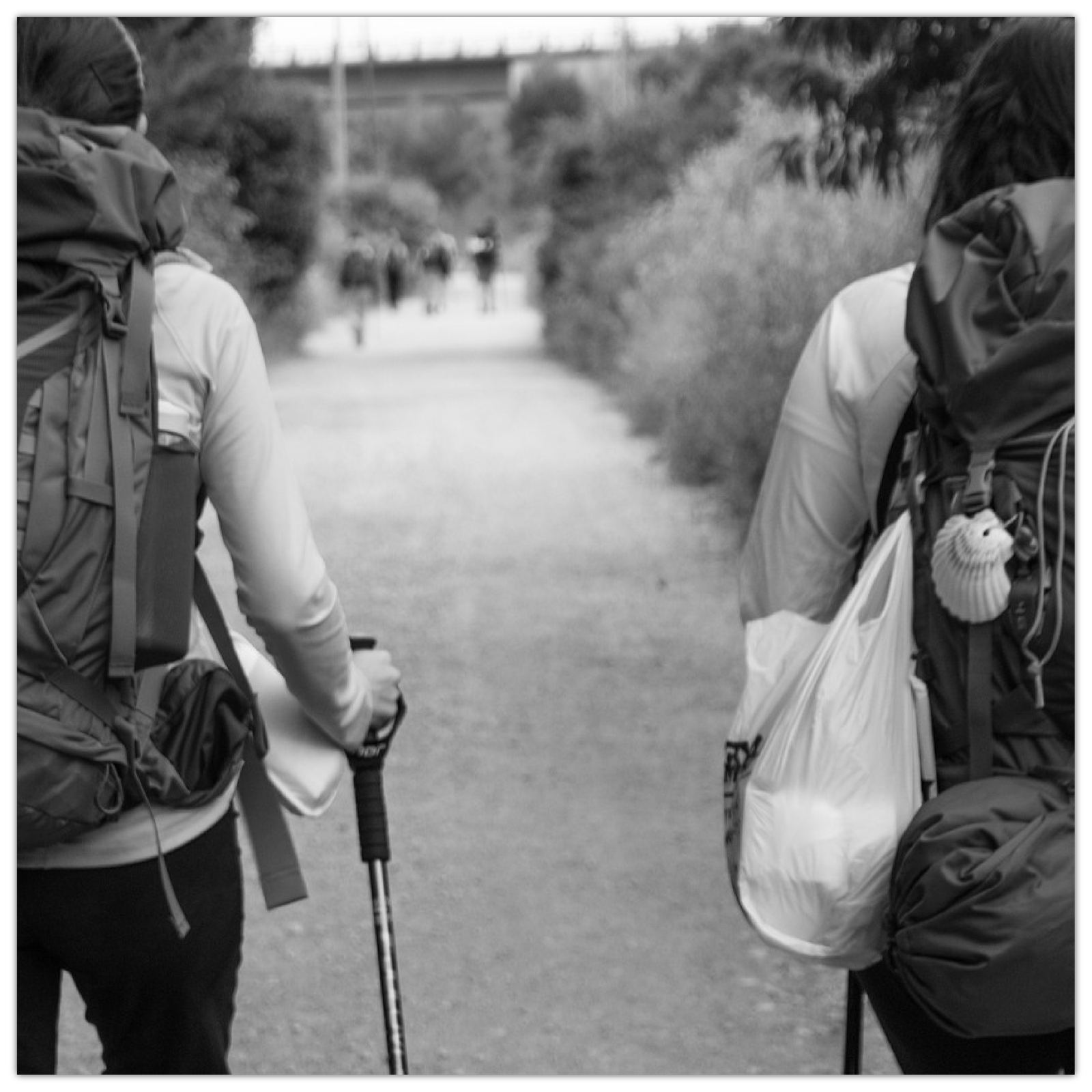 Widoczne są dwie osoby z dużymi plecakami idące szlakiem. Ujęcie od tyłu.