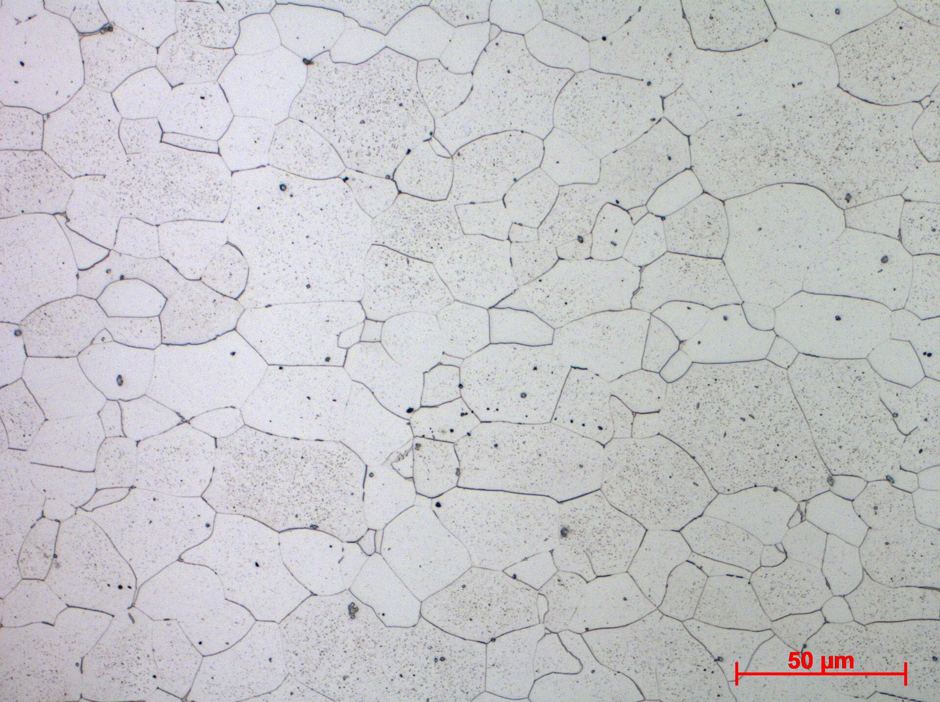 Żelazo Armco o zawartości węgla mniejszej od 0,02%
Ferryt z wytrawionymi granicami ziaren - powiększenie 50x