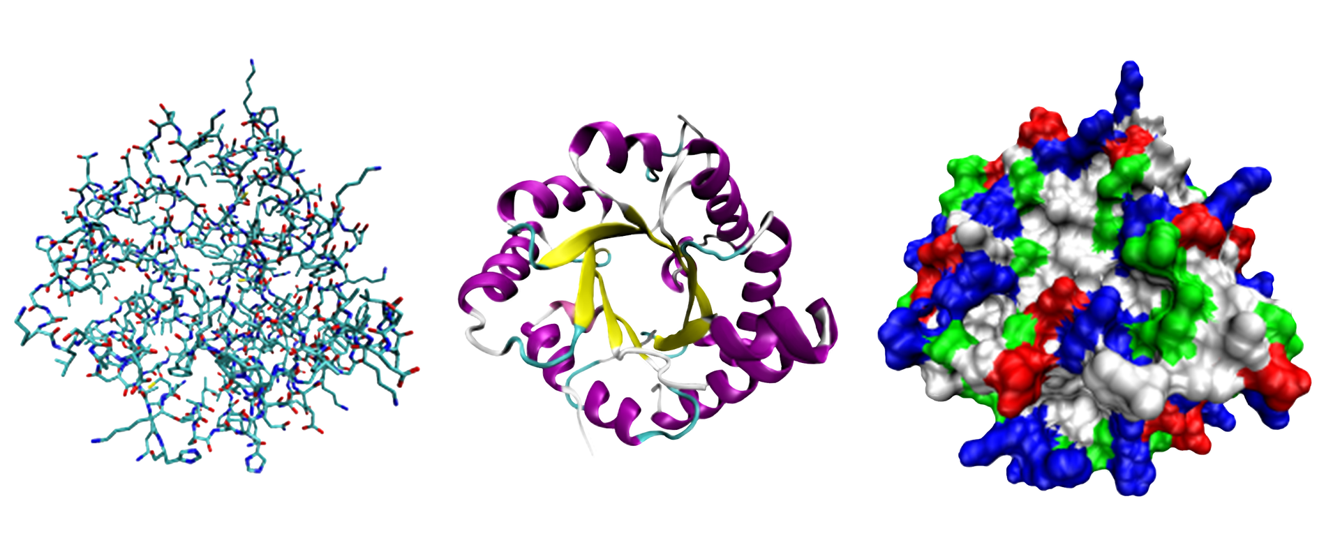 Różne sposoby przedstawiania struktury białek