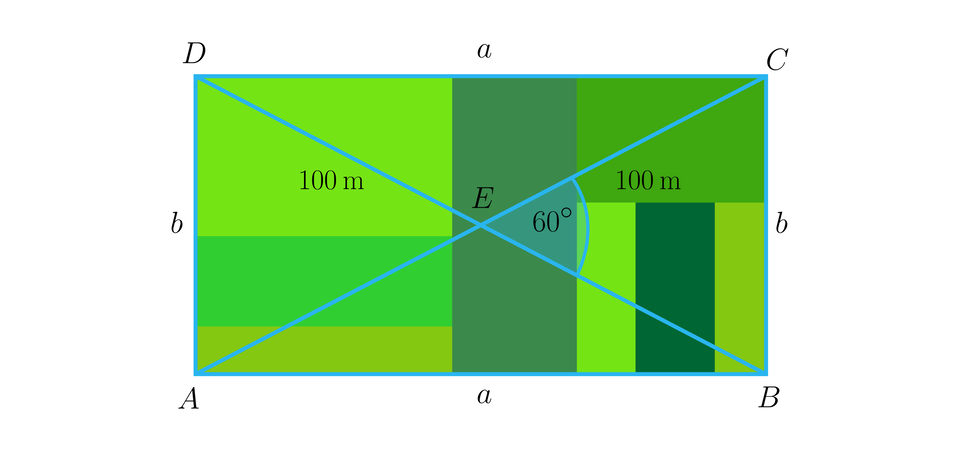 Ilustracja przedstawia prostokąt A B C D, gdzie poziome boki A B i C D oznaczono literą a, natomiast pionowe boki A D oraz B C oznaczono literą b. W prostokącie wykreślono przekątne o długości 100 metrów każda. Przecinają się one w punkcie E pod kątem 60 stopni.