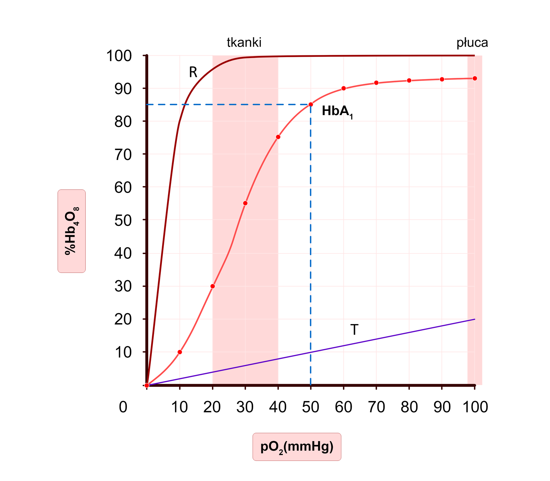 Na ilustracji przedstawiony jest wykres.