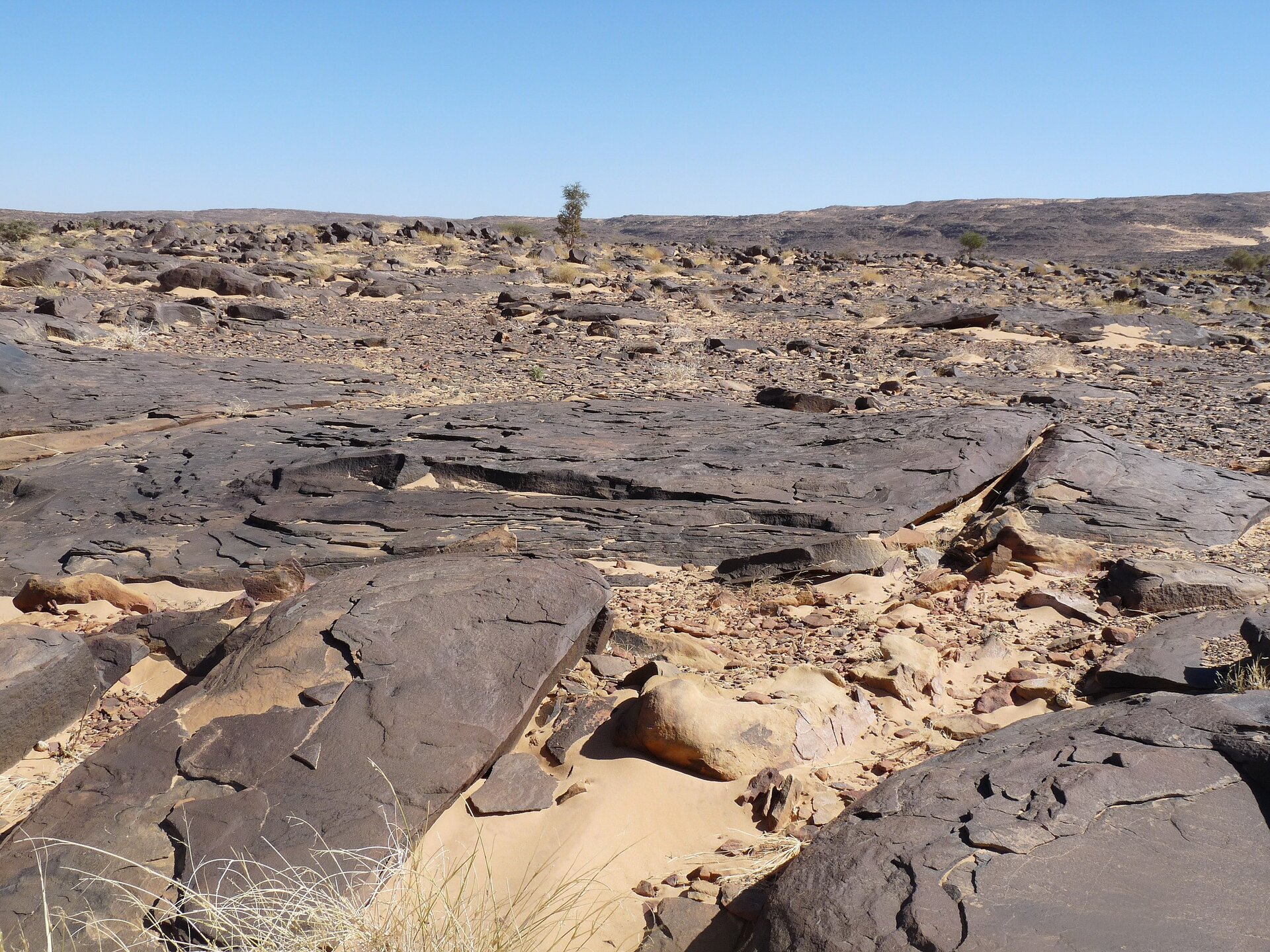 Na zdjęciu otwarta, rozległa przestrzeń pełna płaskich kamieni i piasku. Niemal brak roślinności, gdzieniegdzie pojedyncze krzewy rosnące między kamieniami. Bezchmurne niebo.