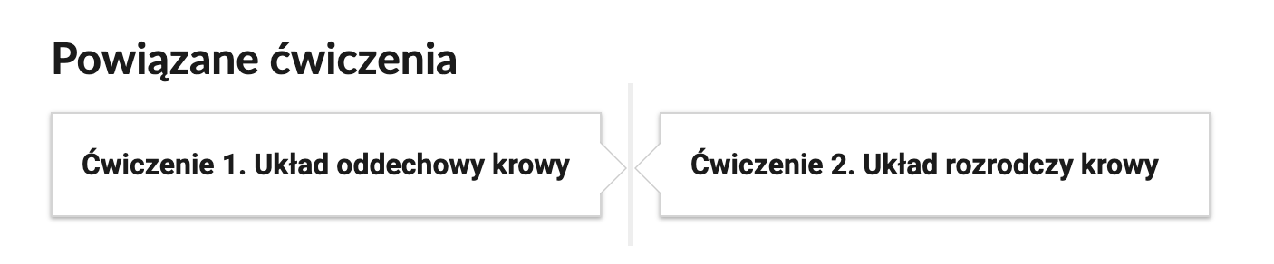 Grafika przedstawia przykładowe przyciski powiązanych ćwiczeń z danym multimedium. Przedstawiono dwa kafelki. Pierwszy kafelek zawiera napis: Ćwiczenie pierwsze. Układ oddechowy krowy. Drugi kafelek zawiera napis: Ćwiczenie drugie. Układ rozrodczy krowy.