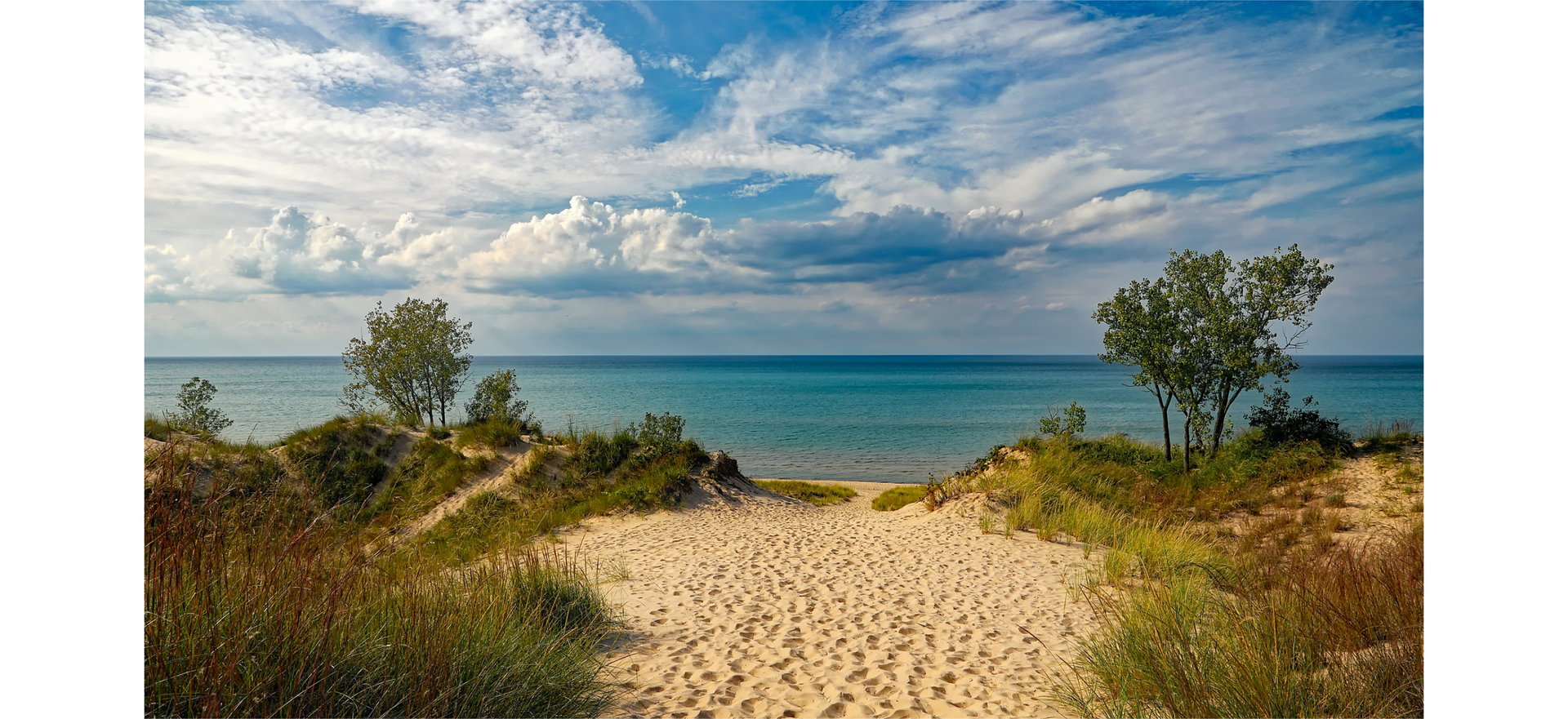 Ilustracja przedstawia plażę w słoneczny dzień. Pośrodku znajduje się piaszczysta ścieżka, aż do samej wody. Boki ścieżki są porośnięte różną roślinnością. W tle znajduje się rozległe morze, a nad nim lekko zachmurzone niebo.