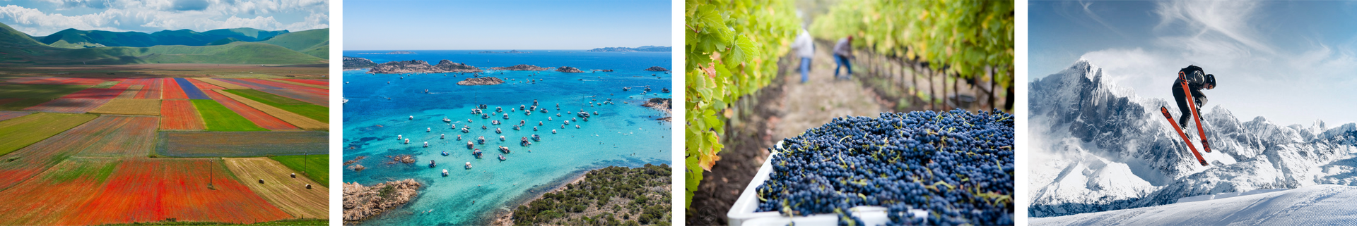 Ilustracja składa się z czterech zdjęć przedstawiających pory roku. Zdjęcie pierwsze z lewej przedstawia ogromny obszar kolorowych pól. Zdjęcie drugie przedstawia widok na ciepłe morze. Widoczne są małe wysepki na morzu i mnóstwo łódek. Następne zdjęcie przedstawia zbiór winogron. Na pierwszym planie znajduje się góra winogron. W tle widać dwie osoby zrywające winogrona z krzewów. Czwarte zdjęcie przedstawia  osobę wykonującą akrobacje na nartach wśród ośnieżonych szczytów gór.