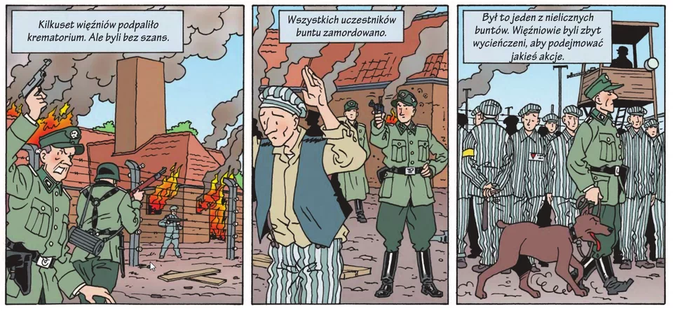 Ilustracja w trzech częściach. Cześć pierwsza: napis "Kilkuset więźniów podpaliło krematorium, ale byli bez szans", na ilustracji pali się krematorium, Strażnik w mundurze z pistoletem w dłoni krzyczy. część druga: napis: "Wszystkich uczestników buntu zamordowano.", na ilustracji więzień w pasiaku, za jego plecami strażnik w mundurze celuje z pistoletu w plecy więźnia na budynku otoczonego dymem. część trzecia ilustracji: strażnik w mundurze z psem  na smyczy kroczy, więźniowie stoją w szeregu, w tle budka strażnika z cieniem karabinu maszynowego, nad ilustracja napis: Był to jeden z nielicznych buntów. Więźniowie byli zbyt wycieńczeni, aby podejmować jakieś akcje."