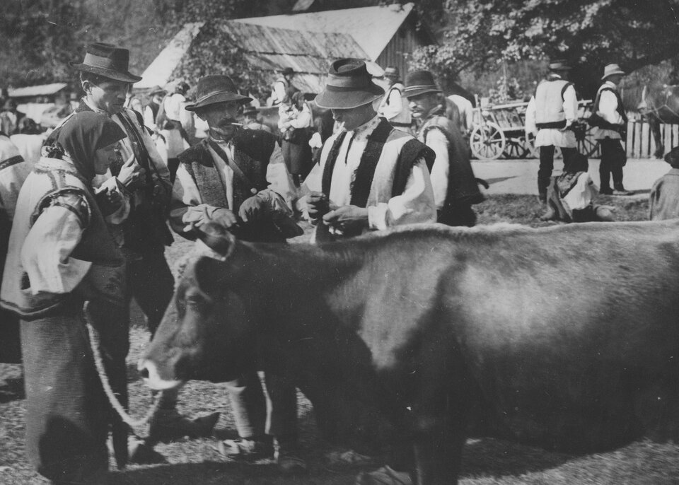Zdjęcie przedstawia chłopów na jarmarku. Na pierwszym planie stoi krowa. Za sznurek trzyma ją kobieta. Ma ona długą spódnicę, kamizelkę, chustę na głowie. Obok stoi trzech mężczyzn. Mają na sobie kamizelki, białe koszule i kapelusze na głowie. W tle są inni chłopi stojący przed wiejskimi chatami.