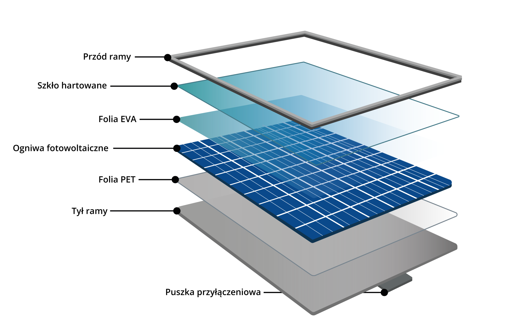 Grafika przedstawia budowę ogniwa fotowoltaicznego. Oznaczone i opisane są następujące elementy: przód ramy, szkło hartowane, folia EVA, ogniwa fotowoltaiczne, folia PET, tył ramy, puszka przyłączeniowa. 