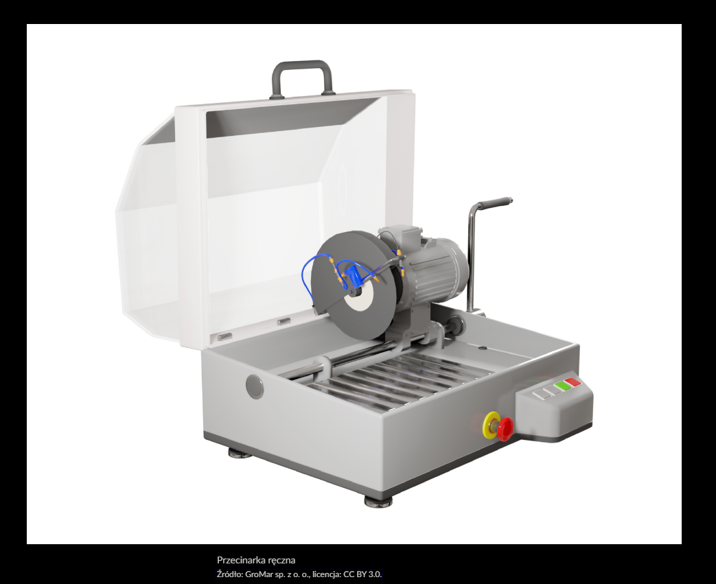 Zdjęcie przedstawia przykładową grafikę z galerii zdjęć z rozwiniętym opisem. U dołu wyświetlony jest opis tego zdjęcia.