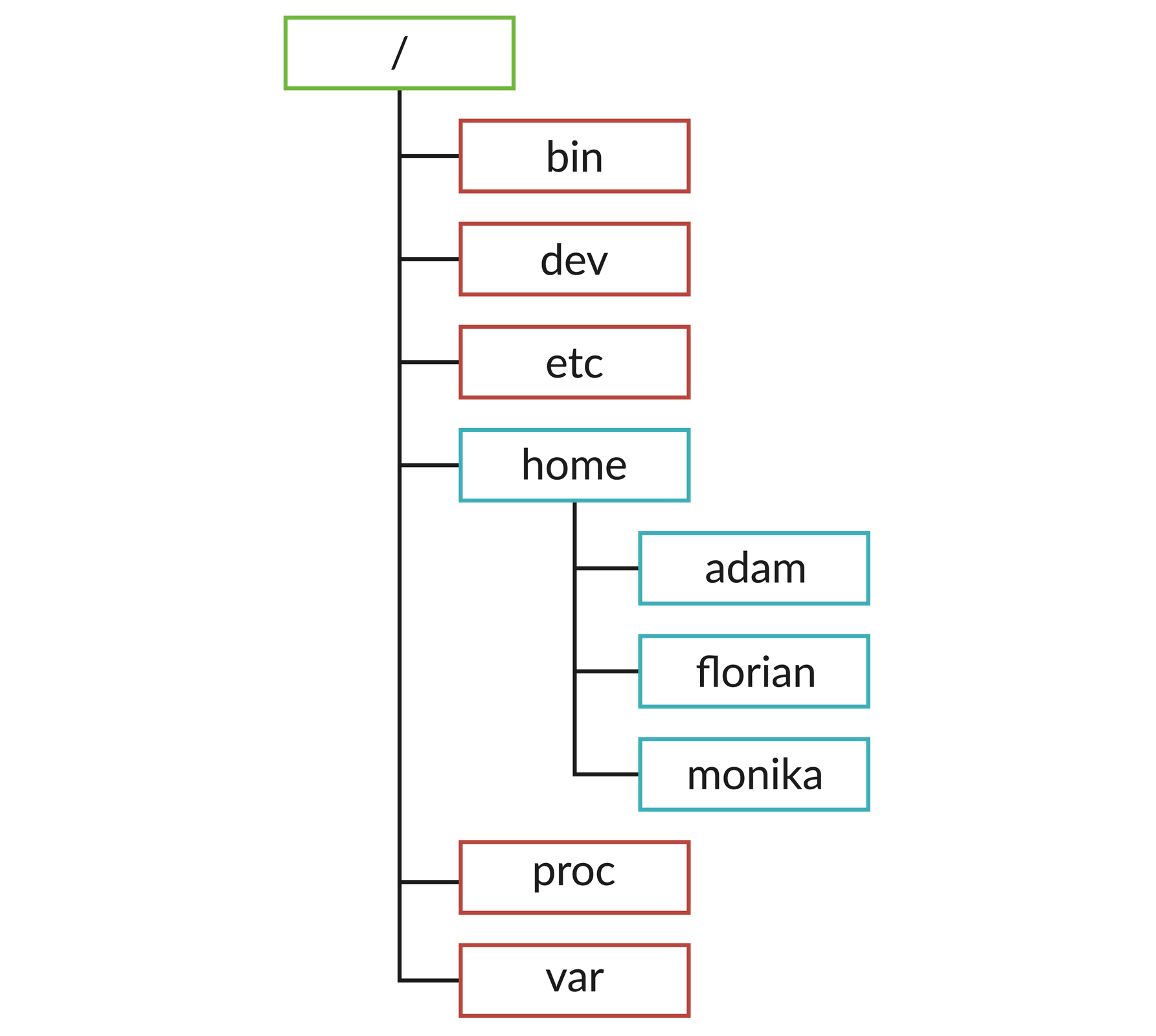 Ilustracja przedstawia drzewo hierarchii folderów.  W folderze / znajdują się foldery: bin, dev, etc, home, proc, var.  W folderze home znajduje się:  adam, florian, monika.