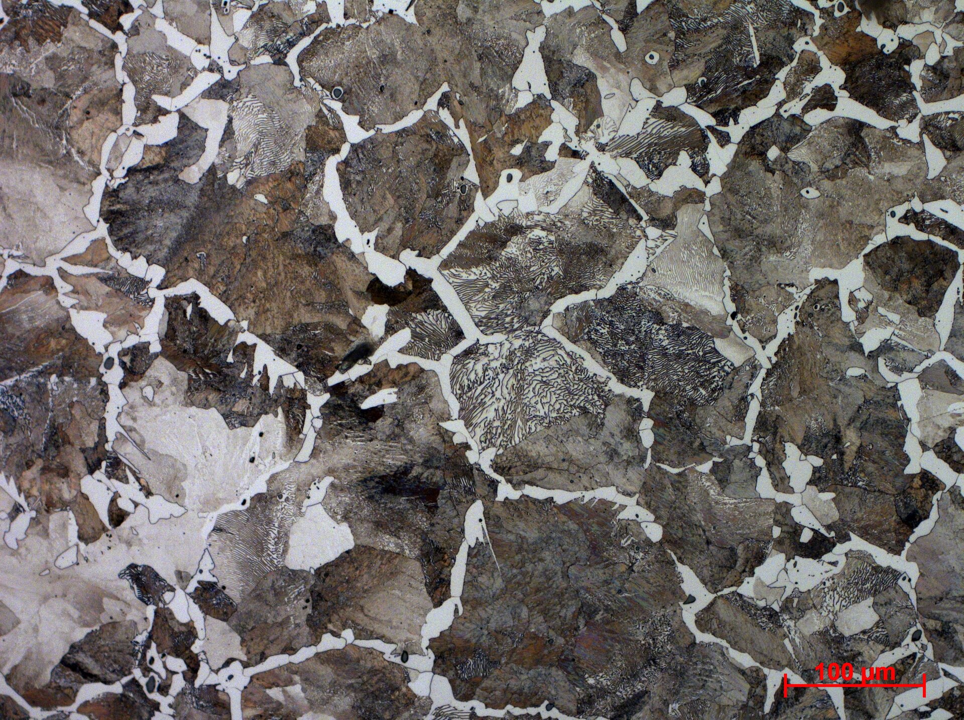 Stop o zawartości węgla 0,6%
 Struktura ferrytyczno‑perlityczna, siatka jasno trawiących się ziaren ferrytu i ciemne ziarna perlitu - powiększenie 20x 