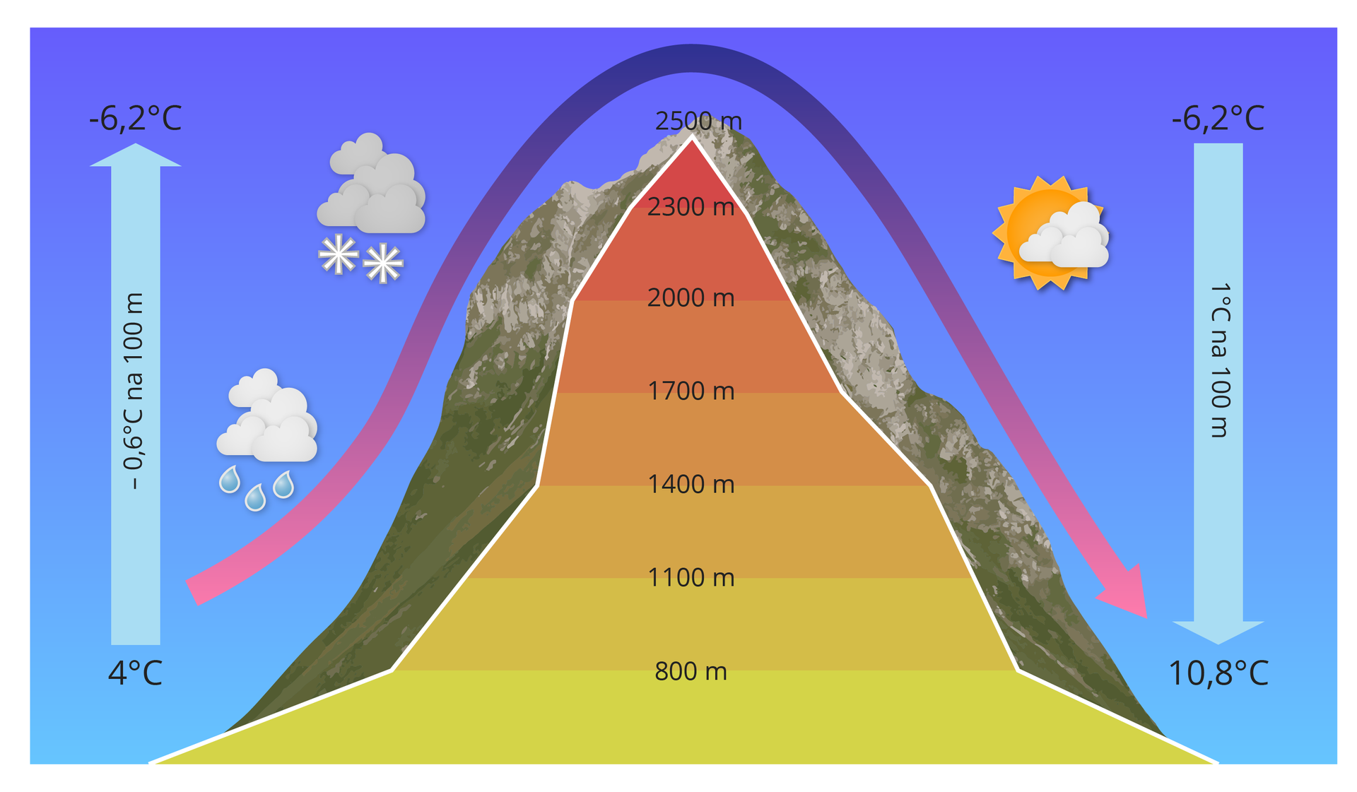Schemat ilustruje powstawanie wiatru halnego, halny wind. Po lewej stronie szczytu górskiego, strzałką skierowaną do góry oznaczono wysoką temperaturę powietrza, a po prawej stronie szczytu strzałka skierowaną w dół oznaczono niską temperaturę.Kolejną strzałką oznaczono kierunek wznoszenia się powierza od podnóża szczytu po lewej stronie, w górę szczytu i w dół szczytu po jego prawej stronie. Powietrze po lewej stronie szczytu unosi się do góry i ochładza o minus 0,6 stopni C na każde 100 m wysokości szczytu. U podnóża szczytu na wysokości 800 m jest temp. 4 stopnie C, na wysokości 2500 m, jest temperatura minus 6,2 stopni C. Powietrze ochładzając się powoduje kondensacje pary wodnej i powstawanie chmur, z których pada deszcz niżej lub śnieg wyżej szczytu. Po prawej stronie szczytu powietrze oznaczone fioletową strzałką opad w dół, jako ciepły, suchy i silny wiatr halny. Pogoda jest słoneczna.