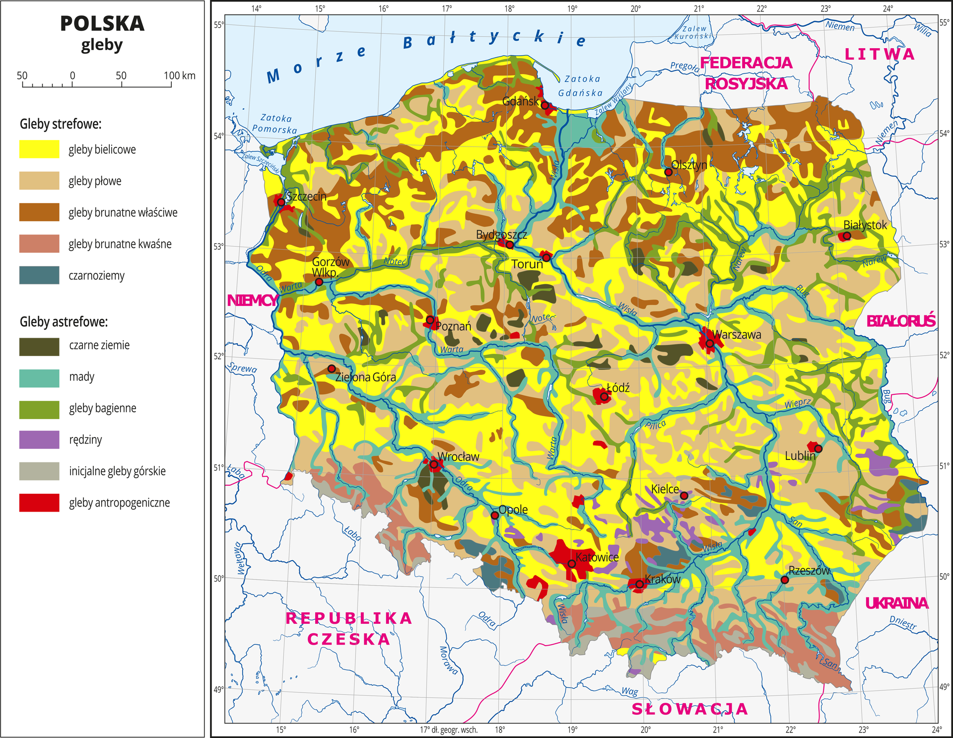 Ilustracja przedstawia mapę Polski . Na mapie kolorami zaznaczono typy gleb. Centralną część Polski zajmują gleby bielicowe oznaczone kolorem żółtym i gleby płowe oznaczone kolorem beżowym. Na północy przeważają gleby brunatne właściwe i kwaśne oznaczone dwoma odcieniami koloru brązowego. Wzdłuż rzek występują mady (kolor turkusowy) i gleby bagienne (kolor zielony). Czerwonymi kropkami zaznaczono miasta wojewódzkie. Opisano rzeki. Po lewej stronie mapy w legendzie umieszczono w pionie jedenaście kolorowych prostokątów, które opisano nazwami gleb. Wydzielono pięć rodzajów gleb strefowych: bielicowe, płowe, brunatne właściwe, brunatne kwaśne i czarnoziemy oraz sześć rodzajów gleb astrefowych: czarne ziemie, mady, gleby bagienne, rędziny, inicjalne gleby górskie i gleby antropogeniczne. Gleby astrefowe rozmieszczone są nierównomiernie, gleby antropogeniczne występują wokół miast.