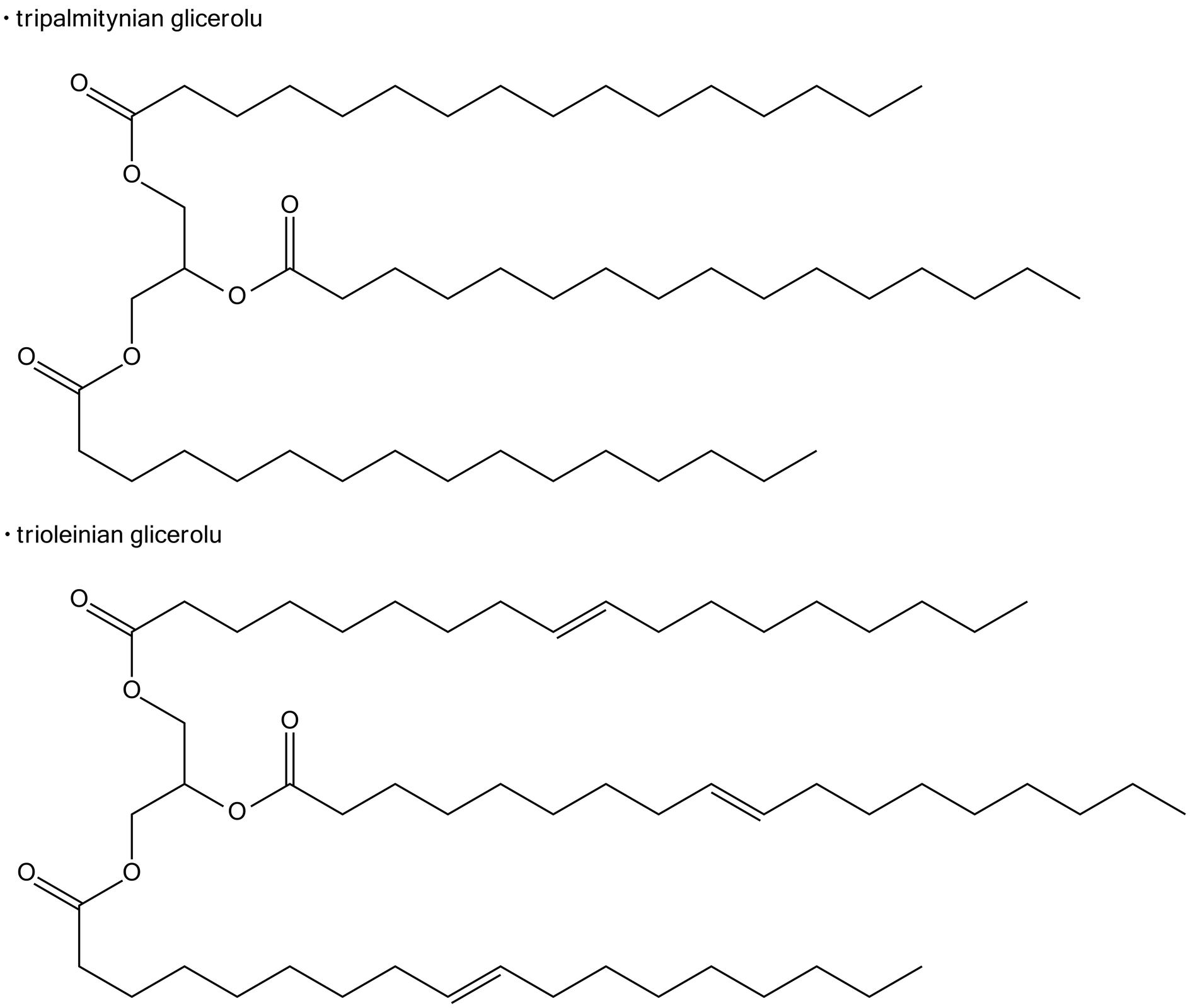 Na ilustracji są dwa wzory. 1. Wzór tripalmitynianu glicerolu. To połączone ze sobą trzy poziome, długie, zygzakowate łańcuchy. W łańcuchach brak wiązań podwójnych., 2. Wzór trioleinianu glicerolu. To połączone ze sobą trzy poziome, długie, zygzakowate łańcuchy. W każdym łańcuchu jest jedno wiązanie podwójne.    