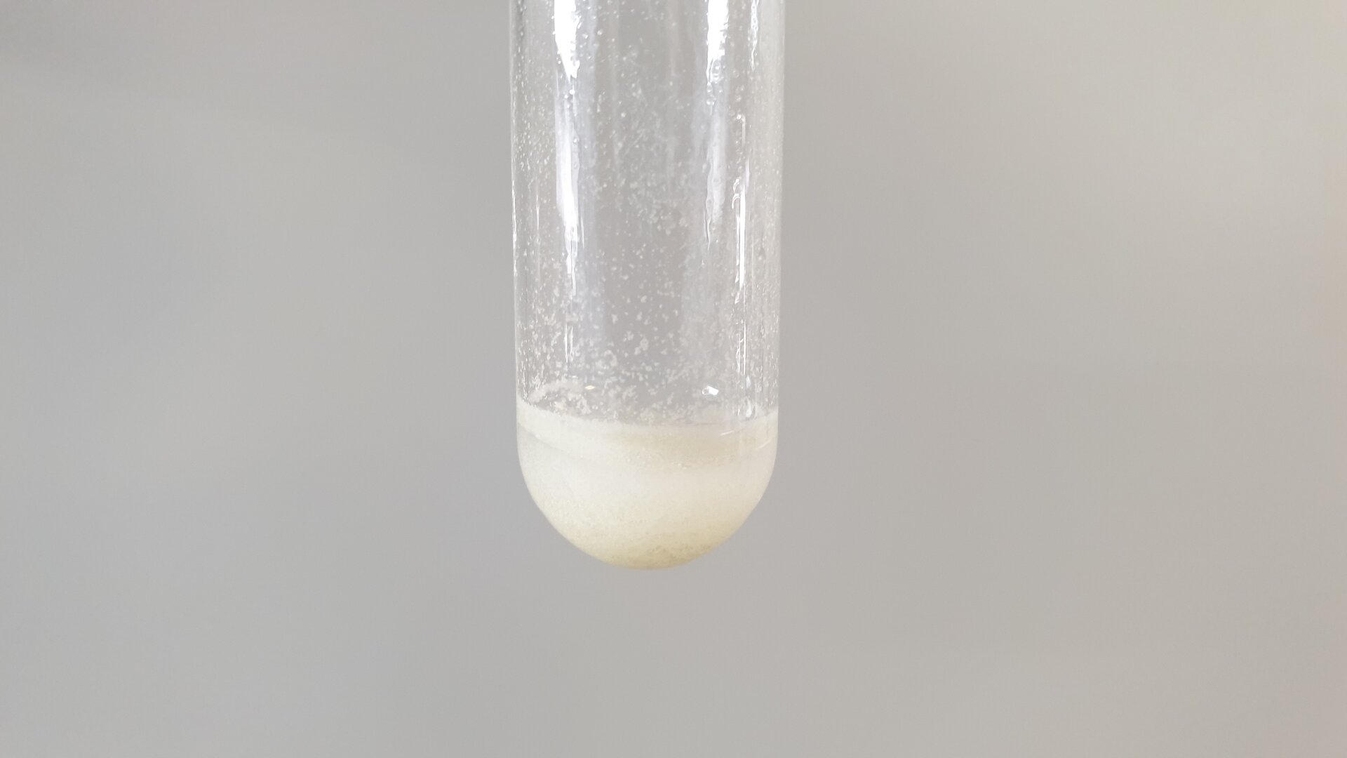 Zdjęcie przedstawiające dno szklanej probówki, w którym znajduje się biały, kłaczkowaty osad chlorku srebra(jeden).