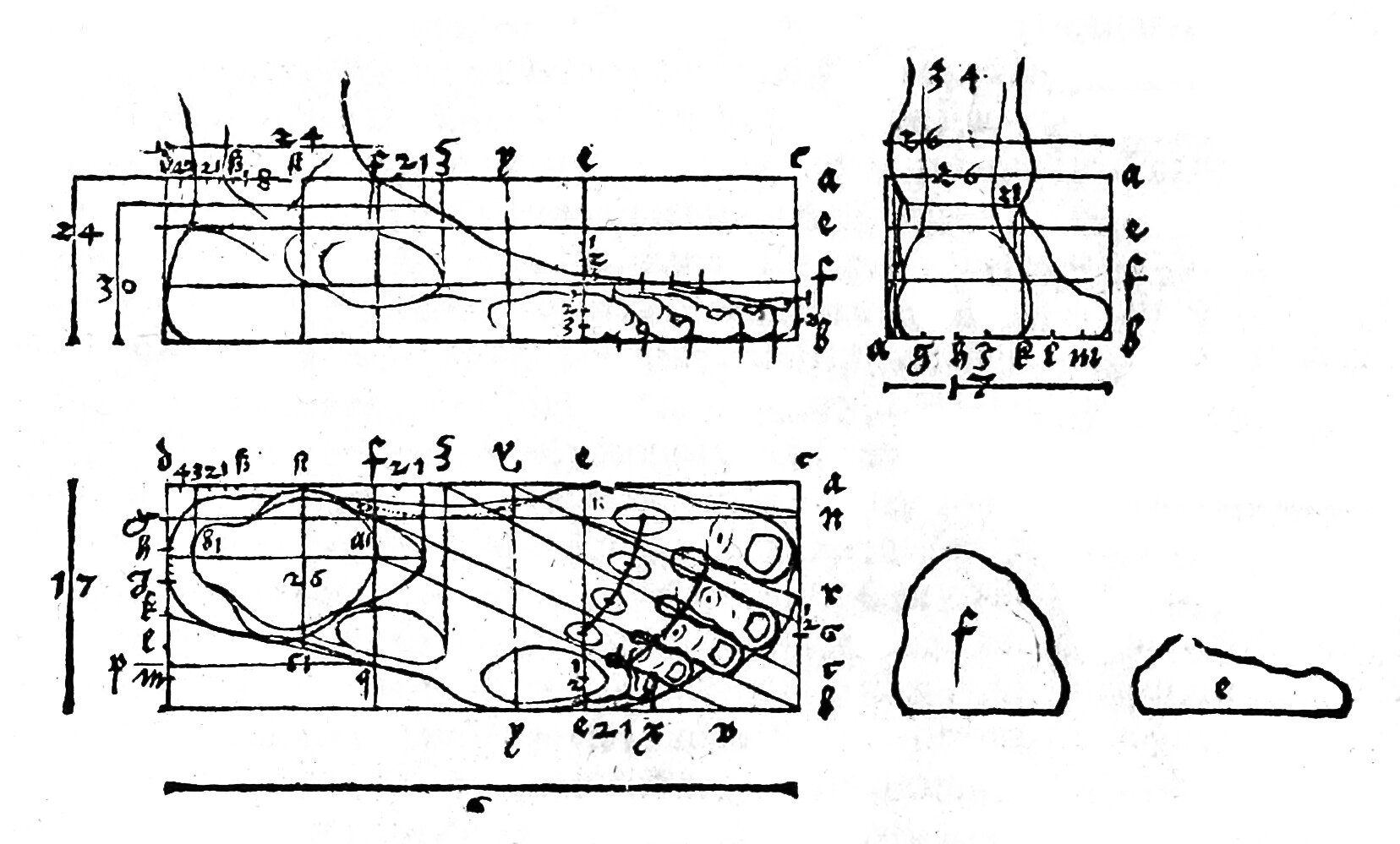 Ilustracja „Proporcje ludzkiej stopy” to cztery ilustracje przedstawione na białym tle w dwóch rzędach po dwa rysunki. Od góry są to: 1. stopa przedstawiona bokiem z prostopadłymi oraz równoległymi liniami ukazującymi kąty, proporcje oraz odległości pomiędzy poszczególnymi jej elementami. Pionowe oraz poziome linie opisane są liczbami oraz literami. 2. Stopa przedstawiona od tyłu z prostopadłymi oraz równoległymi liniami ukazującymi kąty, proporcje oraz odległości pomiędzy poszczególnymi jej elementami. Pionowe oraz poziome linie opisane są liczbami oraz literami. 3. Stopa przedstawiona od góry tyłu z prostopadłymi oraz równoległymi liniami ukazującymi kąty, proporcje oraz odległości pomiędzy poszczególnymi jej elementami. Pionowe oraz poziome linie opisane są liczbami oraz literami. 4. Dwa podpisane literami niepołączone ze sobą kształty przypominające swoim kształtem piętę – litera f, oraz palce – litera e. 