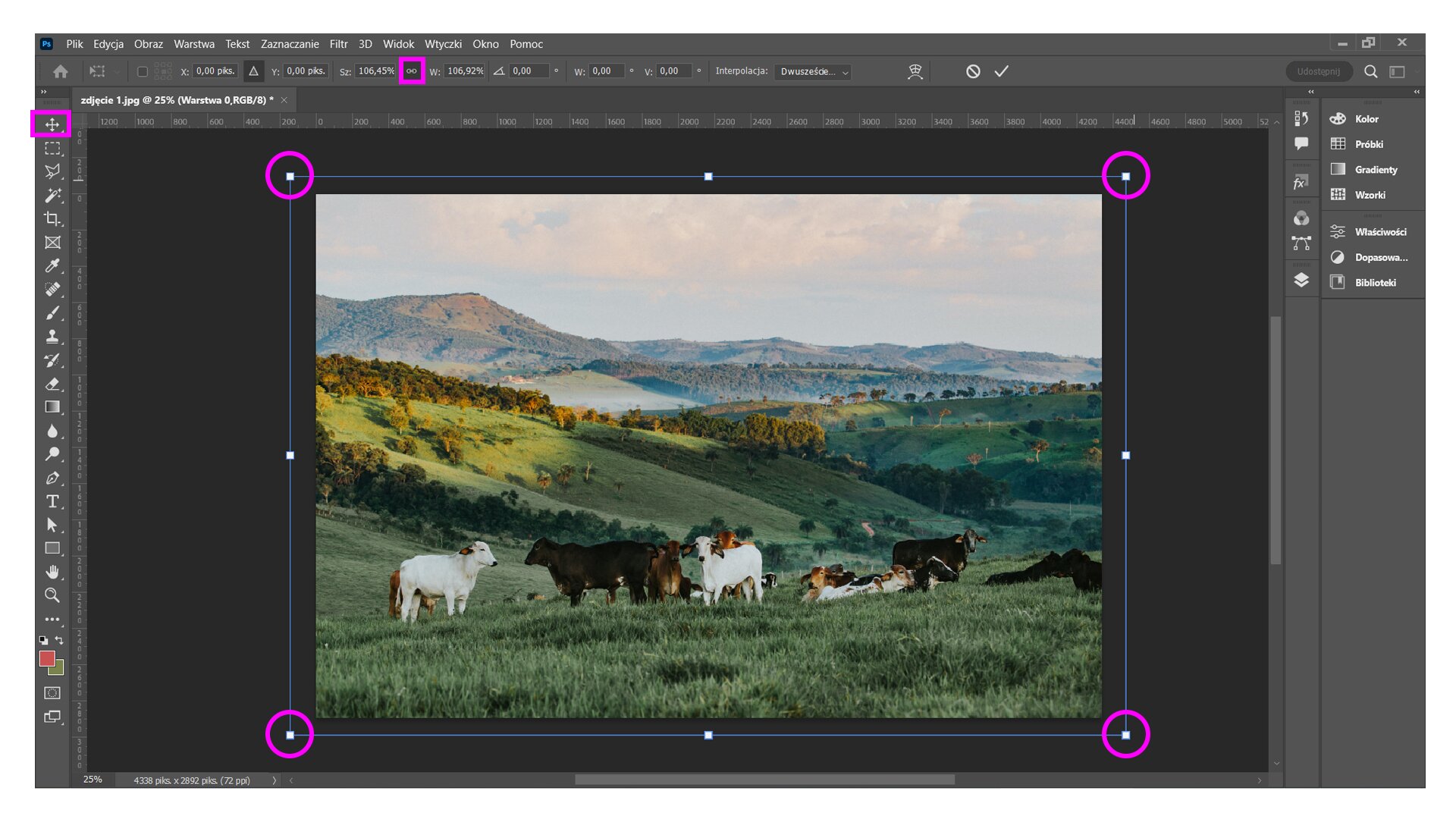 Zrzut ekranu z programu do edycji obrazu. W fioletowej ramce znajduje się zdjęcie, na którym widoczne są krowy stojące na pastwisku, w górzystym terenie.