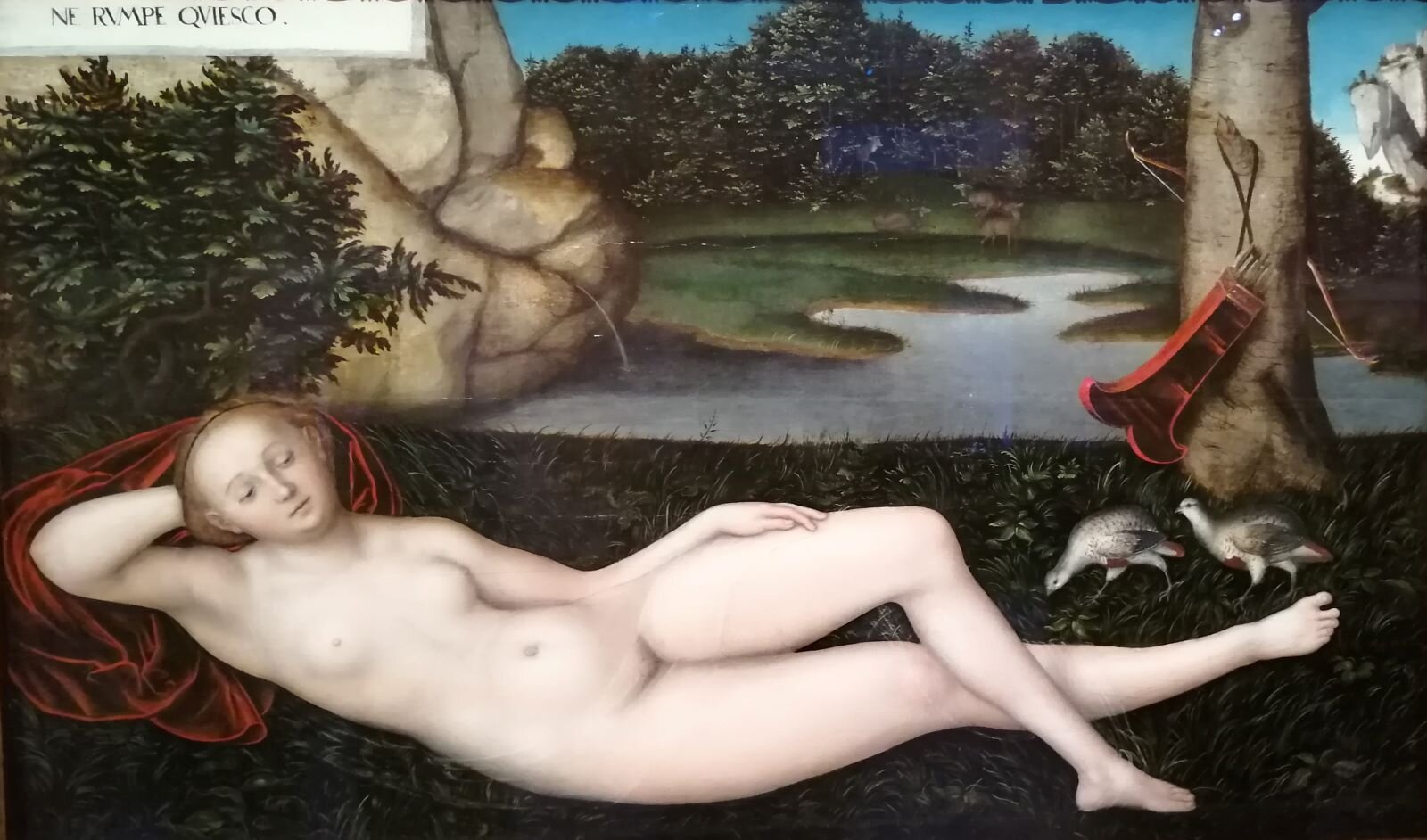 Obraz Lucasa Cranacha "Nimfa" przedstawia nagą kobietę odpoczywającą na trawie w lesie nad wijącą się rzeczką. Pod głową ma złożoną suknię, założyła nogę na nogę i rękę pod głowę - śpi. Ma młode ciało, delikatne, jakby trochę przeźroczyste. W prawym rogu stoi wysokie drzewo, o szeroki pień oparto kołczan ze strzałami. Przy drzewie znajdują się dwie kuropatwy, szukające ziaren. Po lewej stronie widać skałę i krzewy. W tle znajduje się źródło, które rozlewa się w meandrującą rzeczkę, którą otacza zieleń. 