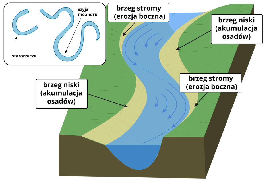  Na schemacie przedstawiona jest działalność akumulacyjna i erozyjna rzeki. Obrazek przedstawia przekrój meandrującego koryta rzeki. W korycie widoczne są strzałki przedstawiające przenoszenie materiałów. Strzałki biegną wzdłuż stromego brzegu, gdzie woda powoduje erozję boczną. Następnie materiał transportowany jest na brzeg niski, gdzie ma miejsce akumulacja osadów. Przez to na rzece tworzą się zakręty, czyli meandry. Zjawisko to dalej się powtarza. Na mniejszym, bocznym obrazku przedstawiony jest schemat rzeki. Zaznaczona jest na nim szyja meandra, czyli zakręt, a obok starorzecze. Jest to pozostałość meandra, który w wyniku akumulacji został odcięty od koryta.