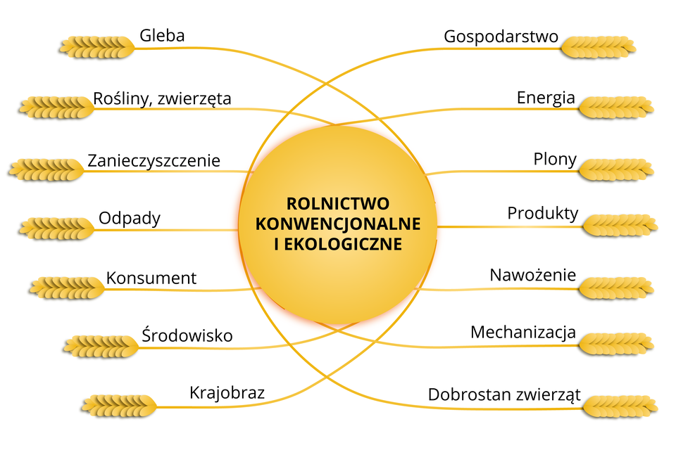 Ilustracja przedstawia  aspekty wpływu rolnictwa na środowisko. Od koła z napisem: Rolnictwo konwencjonalne i niekonwencjonalne odchodzą kłosy z napisami: gleba, rośliny i zwierzęta, zanieczyszczenie, odpady, konsument, środowisko, krajobraz, gospodarstwo, energia, plony, produkty, nawożenie, mechanizacja, dobrostan zwierząt.   