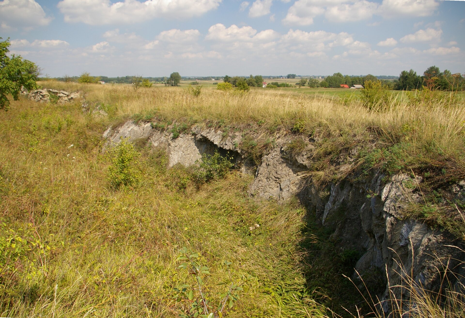 Zdjęcie przedstawia teren porośnięty trawą. W jednym miejscu jest uskok, który tworzą niewysokie, strome skały. Skały mają nieregularną powierzchnię.  