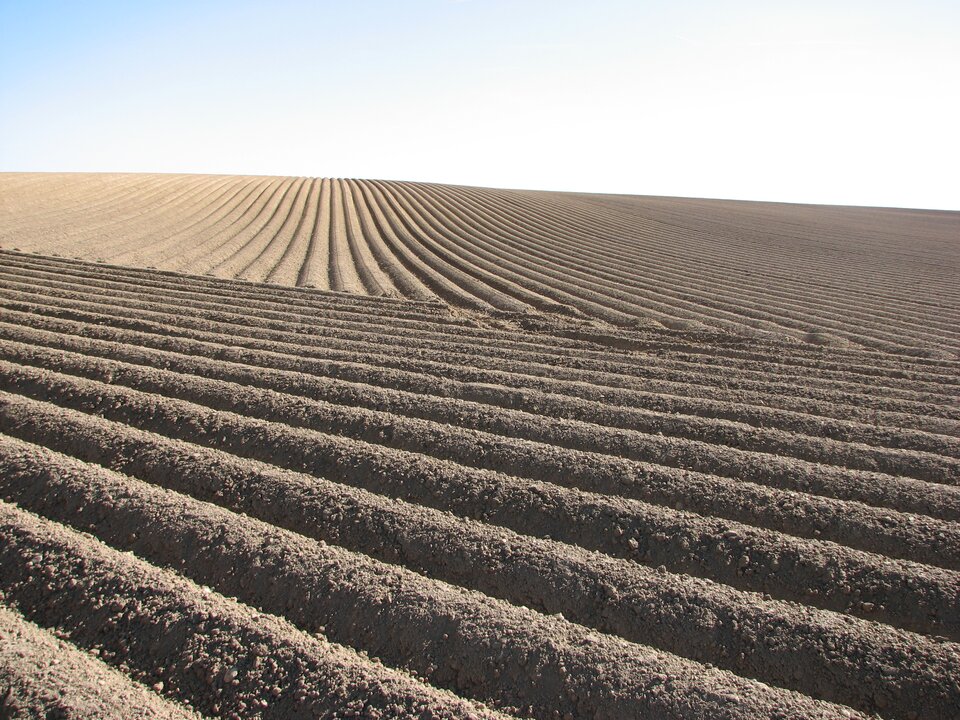 Zdjęcie przedstawia zaoraną ziemię na dużej powierzchni. Pole tworzą liczne równolegle do siebie położone bruzdy.  