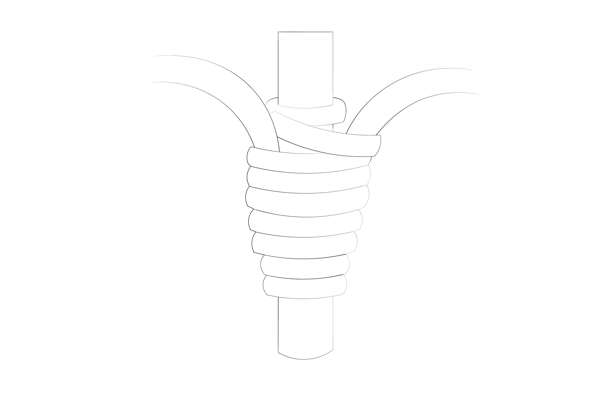 Grafika przedstawia więzadło oplotowe. Opis więzadła znajduje się w treści powyżej.
