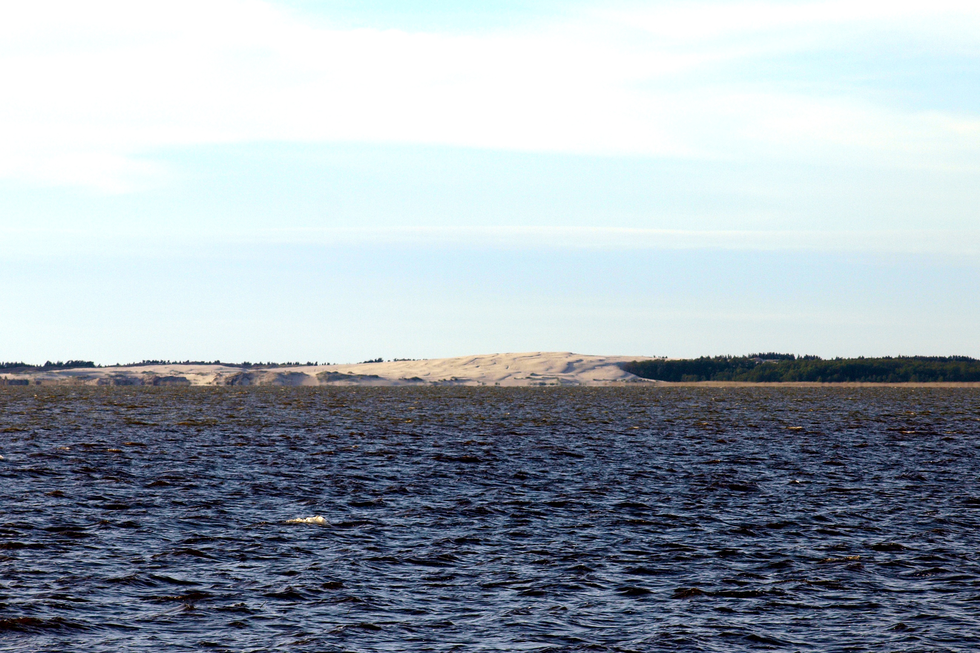 Fotografia przedstawia przybrzeżne jezioro Łebsko, powstałe na skutek odcięcia zatoki przez osady naniesione prądem morskim. Na pierwszym planie woda, na drugim wyskoki piaszczysty brzeg, po prawej stronie drzewa.