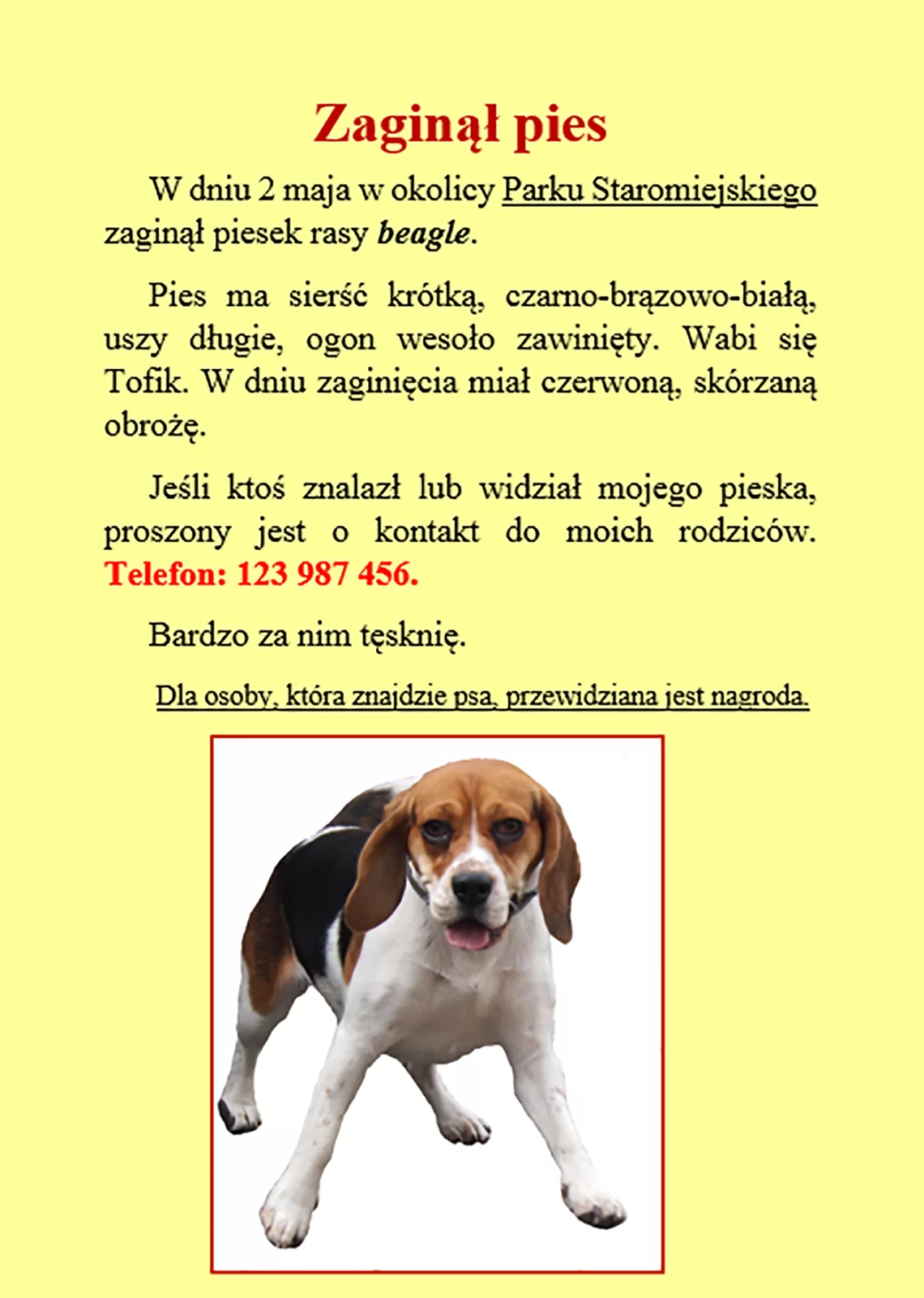 Zrzut ekranu prezentuje ogłoszenie o zaginięciu psa. Na górze jest duży nagłówek. Na samym dole ogłoszenia umieszczona jest grafika psa rasy beagle. Grafika została umieszczona w czerwonej obramówce. Tekst ogłoszenia ma różną wielkość. Stosowane jest miejscowe pogrubienie, podkreślenie lub kursywa. Tekst na ogłoszeniu mówi "Zaginął pies. W dniu 2 maja w okolicy Parku Staromiejskiego zaginął piesek rasy beagle. Pies ma sierść krótką, czarno‑brązowo‑białą, uszy długie, ogon wesoło zawinięty. Wabi się Tofik. W dniu zaginięcia miał czerwoną skórzaną obrożę. Jeśli ktoś znalazł lub widział mojego pieska, proszony jest o kontakt do moich rodziców. Telefon: 123 987 456. Bardzo za nim tęsknię. Dla osoby, która znajdzie psa, przewidziana jest nagroda."
