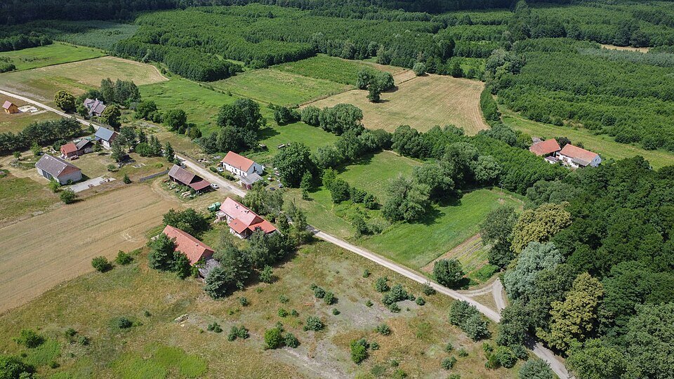 Widok z lotu ptaka na wiejską okolicę: kilka zabudowań z czerwonymi dachami stoi wzdłuż wąskiej, jasnej drogi. Wokół widać mozaikę pól i łąk o różnych odcieniach zieleni i brązu oraz duże połacie lasu otaczające teren.