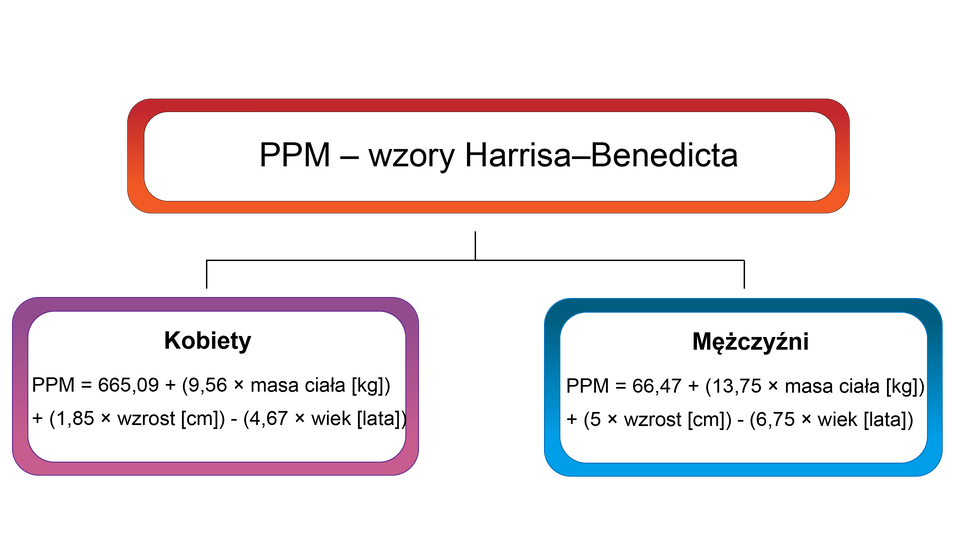Ilustracja przedstawia schemat podstawowej przemiany materii – wzory Harrisa - Benedicta.  Dla kobiet PPM = 665,09 + (9,56 × masa ciała w kg) + (1,85 × wzrost w cm) - (4,67 × wiek w latach)  Dla mężczyzn PPM = 66,47 + (13,75 × masa ciała w kg) + (5 × wzrost w cm) - (6,75 × wiek w latach)