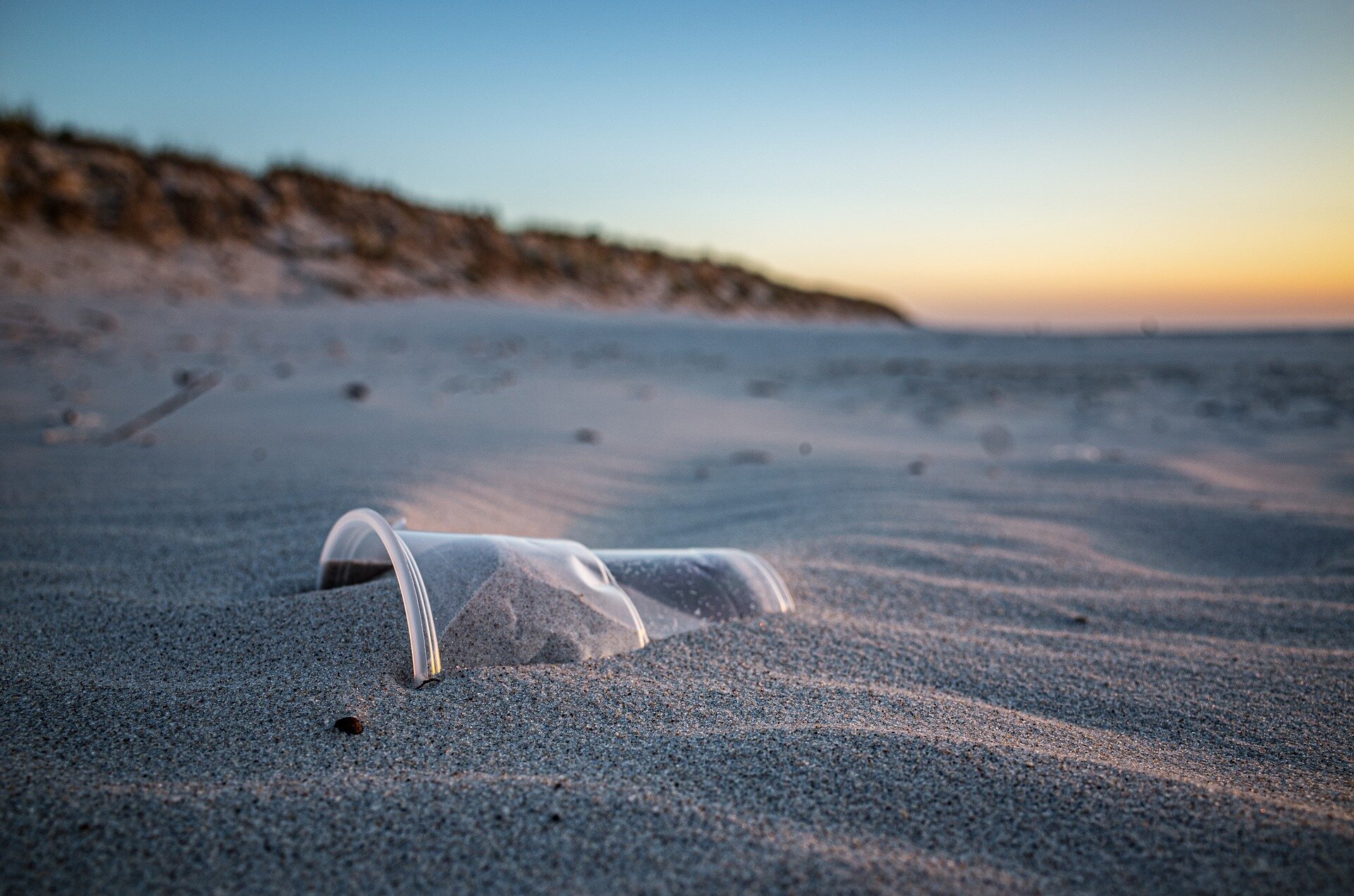 Zdjęcie przestawiające piaszczystą plażę o zachodzie słońca. Na pierwszym planie znajduje się częściowo zakopany w piasku kubek wykonany z tworzywa sztucznego.