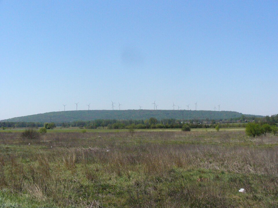 Zdjęcie przedstawia wzniesienie porośnięte drzewami. Na wzniesieniu stoją liczne elektrownie wiatrowe. Na pierwszym planie jest płaski teren porośnięty trawą i drzewami. 