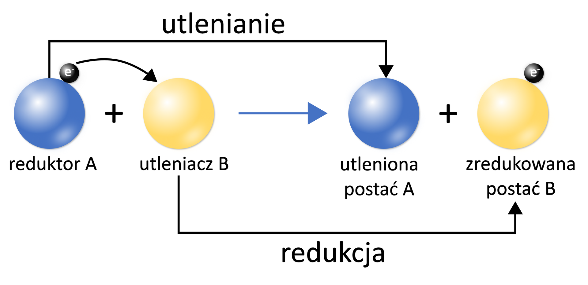 Ilustracja przedstawiająca schematycznie reakcję redoks. Po lewej stronie równania reduktor A symbolizowany przez dużą, niebieską kulkę oraz przylegającą do niej małą, czarną, to jest elektron e-, dodać utleniacz B symbolizowany przez dużą, żółtą kulkę. Od elektronu poprowadzona jest łukowata strzałka do utleniacza B. Strzałą w prawo, za strzałką po prawej stronie równania utleniona postać A symbolizowana przez dużą niebieską kulkę, dodać zredukowana postać B symbolizowana przez dużą, żółtą kulkę oraz przylegającą do niej małą, czarną kulkę, czyli elektron. Reduktor A ulega utlenieniu do postaci utlenionej A, zaś utleniacz B ulega redukcji do postaci zredukowanej B.