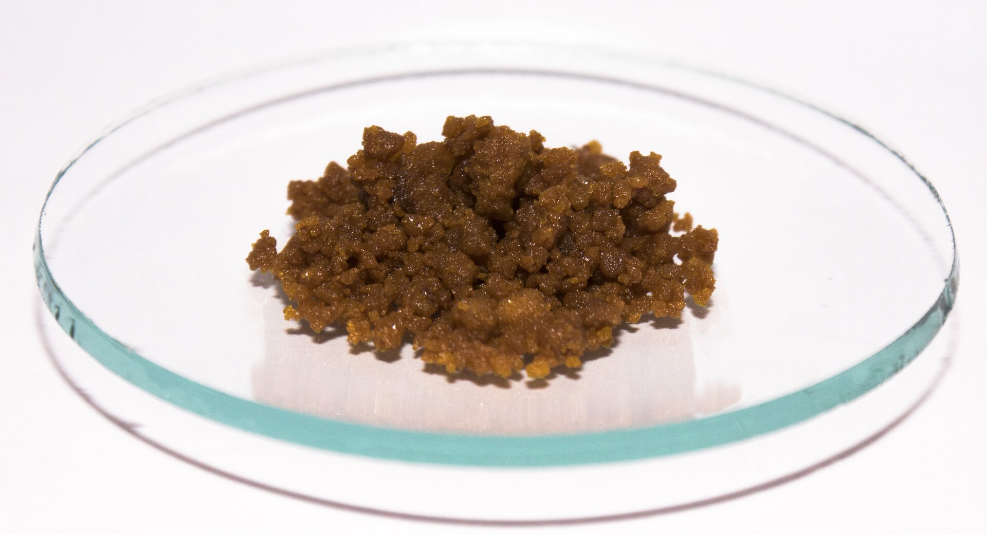 Na zdjęciu na szkiełku zegarkowym jest pewna ilość jasnobrązowych grudek. Sprawiają wrażenie mokrych i lepkich.