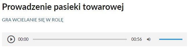 Grafika przedstawia panel odtwarzacza w grze. Na samej górze widać napis: Prowadzenie pasieki towarowej. Pod nim umieszczono napis: Gra wcielanie się w rolę. Jeszcze niżej od lewej widoczna jest ikona włączenia odtwarzacza – ikona składa się z trójkąta wpisanego w okrąg. Wierzchołek trójkąta wskazuje w prawo. Oba kształty są ciemno szare. Tło jest siwe. Następnie widoczny jest pasek z czasem nagrania – od lewej początek nagrania, następnie siwy krótki pasek, a po prawej czas całego nagrania – minuta i dziewięć sekund. Po lewej widnieją ikony zmiany głośności dźwięku w nagraniu. Składa się on z ikony megafonu skierowanego w prawo, od którego odchodzą dwie półokrągłe linie symbolizujące fale dźwiękowe. Po prawej stronie megafonu znajduje się niebieski pasek, który umożliwia zmianę poziomu głośności.