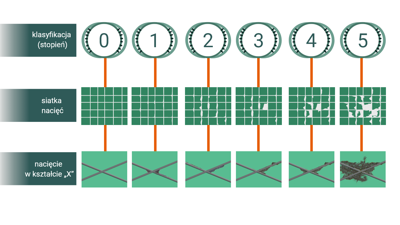 Klasyfikacja i siatka nacięć