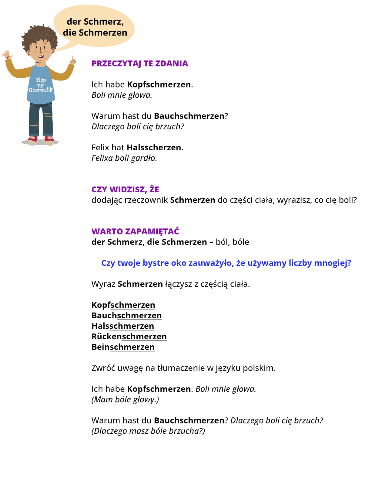 Ilustracja zawiera poradę językową.
Grafika przedstawia chłopca w niebieskiej bluzie na której znajduje się napis Tipp zur Grammatik. 
Pozostałą część ilustracji stanowi tekst, którego treść wyświetla się w trybie dostępności.