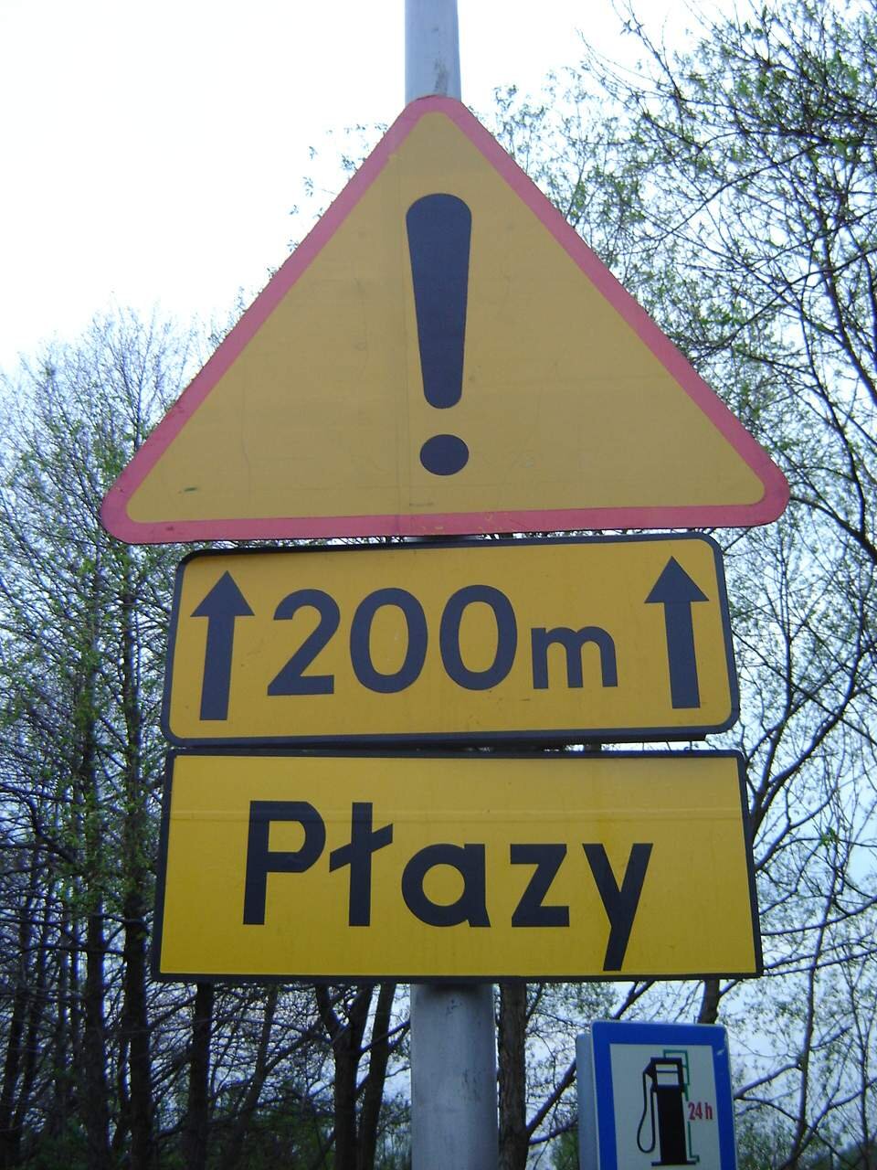 Ilustracja przedstawia znak drogowy. To znak trójkątny z czarnym wykrzyknikiem, pod spodem zaznaczono na długości 200 metrów, poniżej tabliczka z napisem: Płazy. 