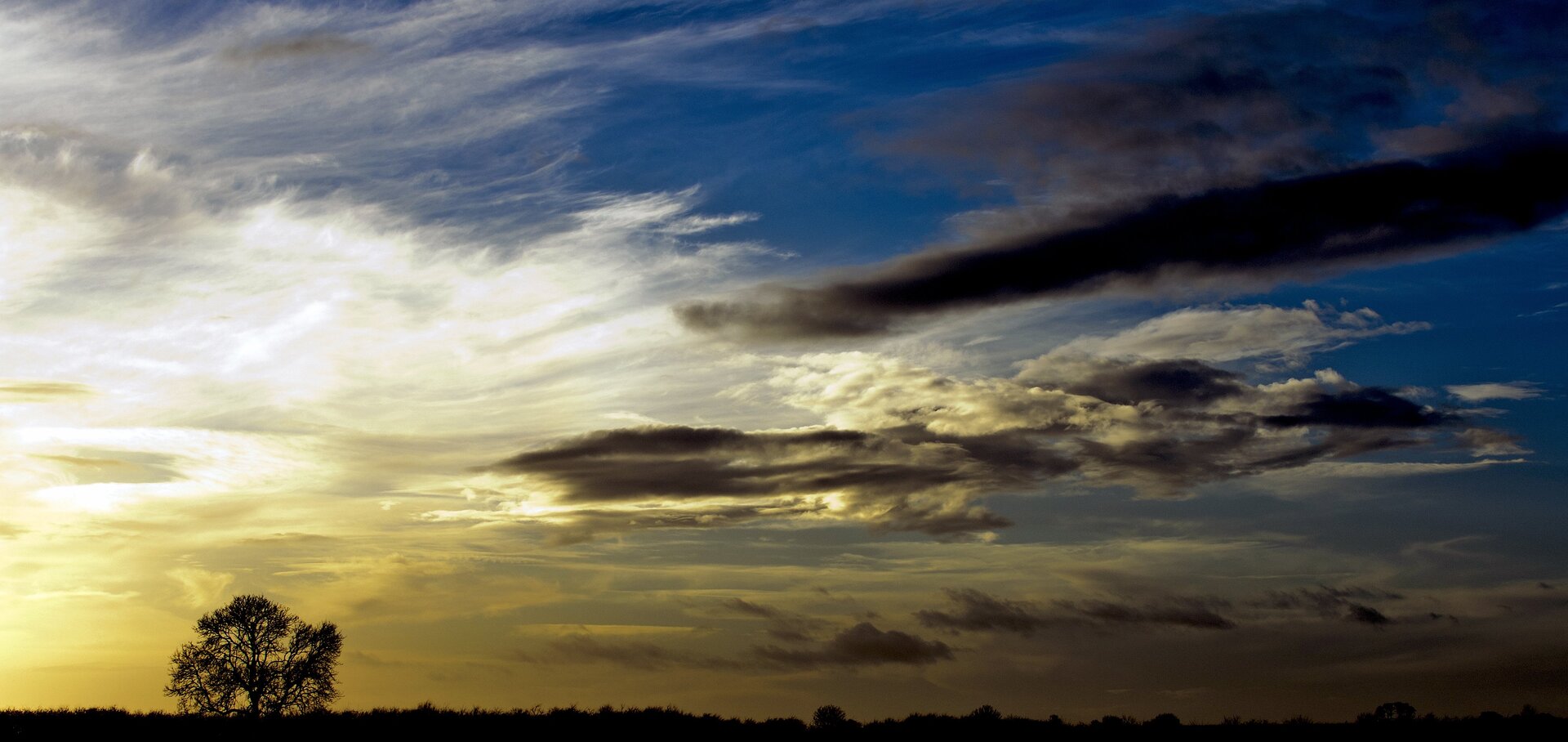 Panoramiczne zdjęcie krajobrazowe, którego głównym tematem jest niebo. Ziemia zajmuje bardzo niewielki obszar wzdłuż dolnej krawędzi kadru i jest przedstawiona w postaci ciemnej sylwetki. Po lewej stronie na wysokość nie większą niż jedna piąta wysokości sceny nad linię horyzontu wystaje sylwetka samotnego drzewa pozbawionego liści. Niebo w górnej części kadru ma barwę niebieską, przechodzącą w żółć poranka w lewym dolnym rogu. Prawa strona kadru ciemniejsza. Chmury białe i skłębione pojedyncze ciemne wypełniają większą część sceny.